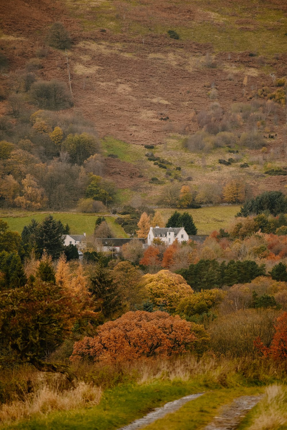 Larch-Cabin-Scotland-Highlands-Scottish-Countryside-Tanya-Arya-photography39.JPG