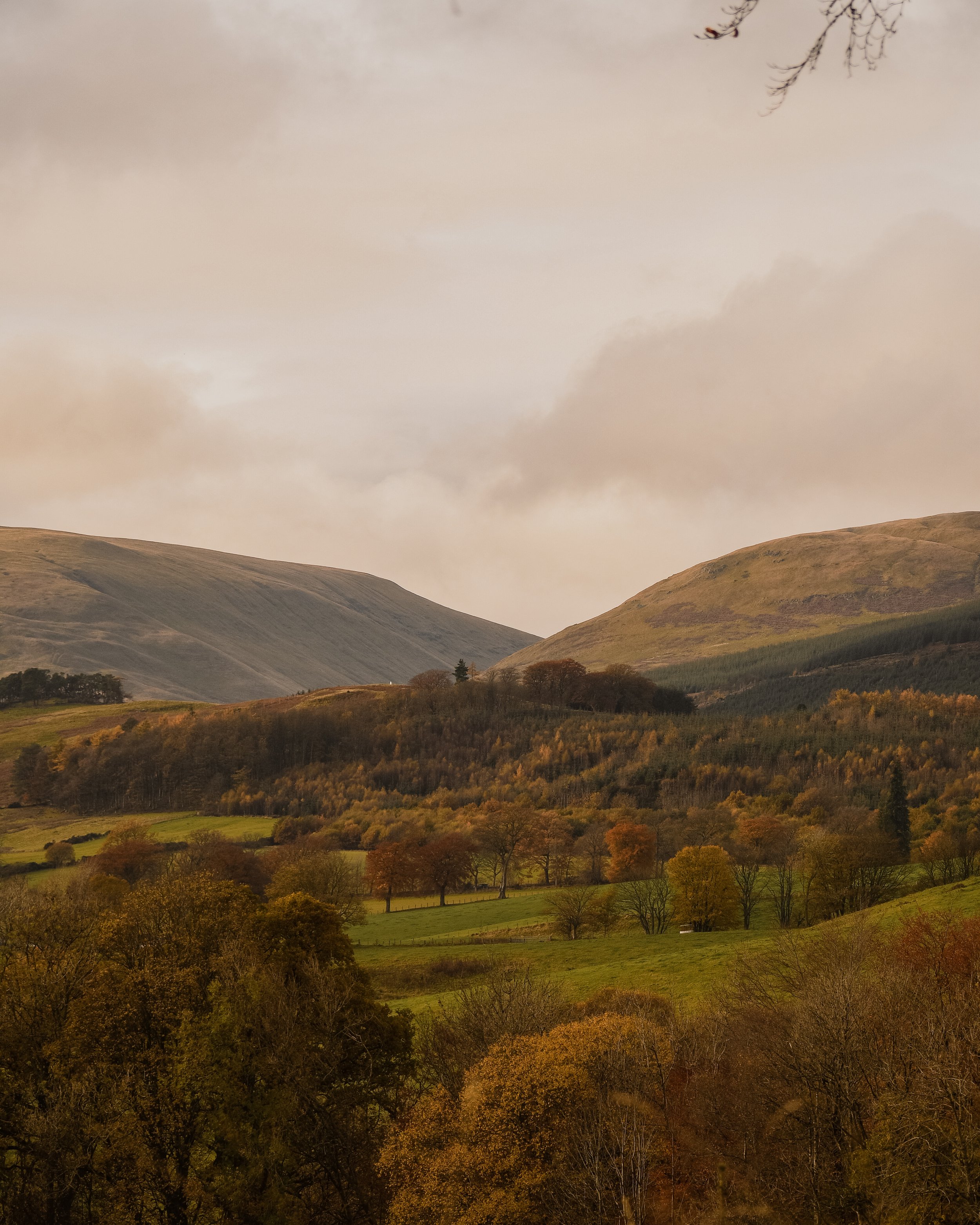 Hinidas-Larch-Cabin-Scotland-Highlands-Scottish-Countryside-Tanya-Arya-photography5.JPG