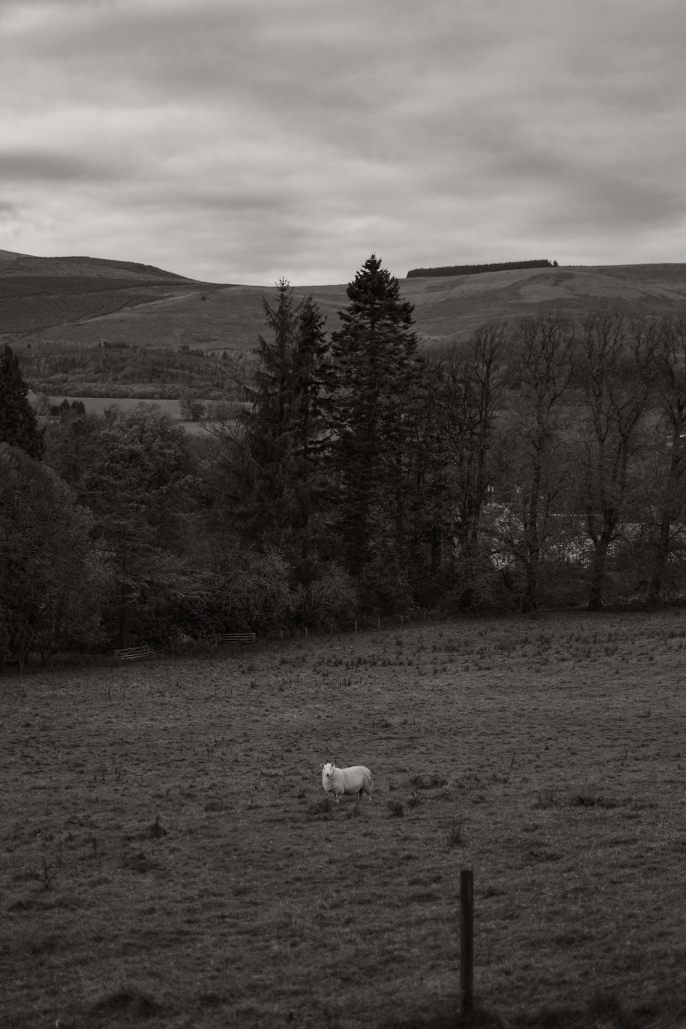 Hinidas-Larch-Cabin-Scotland-Highlands-Scottish-Countryside-Tanya-Arya-photography26.JPG