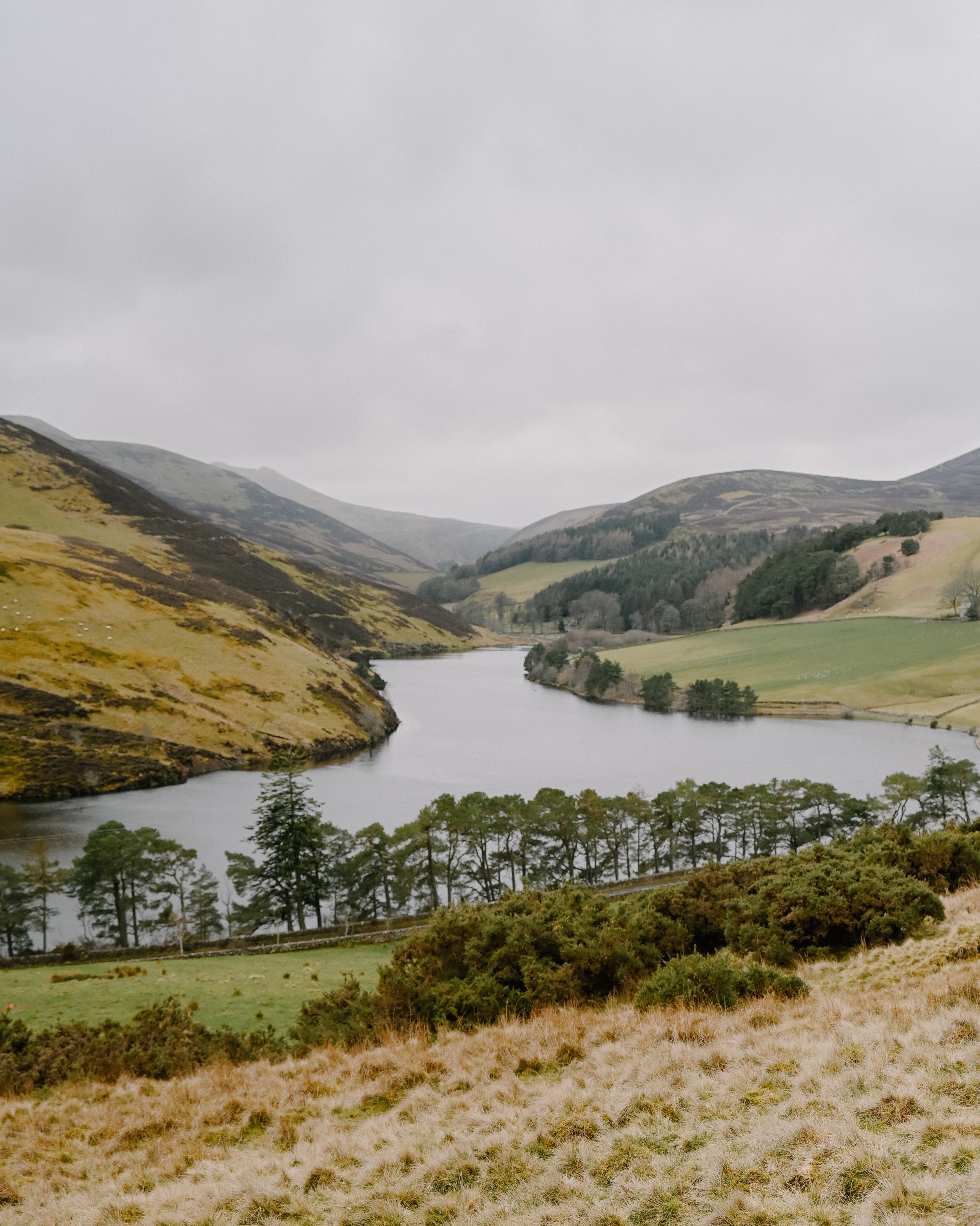 Glencorse-Reservoir-Pentland-Hills-Edinburgh-Scotland-Stockbridge-Tanya-Arya-photography2.JPG