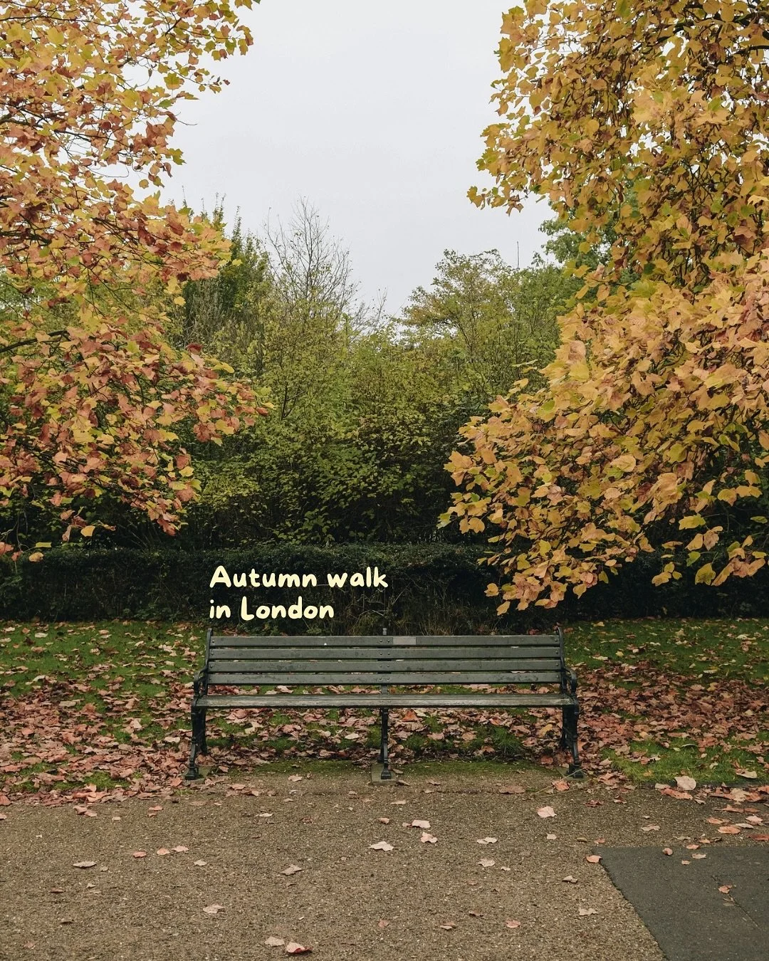 This week is the perfect time to head out for an autumn walk in London &mdash; all of these photos were taken in early November so it&rsquo;s not too late 🍂

You can mooch around the shops in Primrose Hill too (lots of good charity shops!) and end y