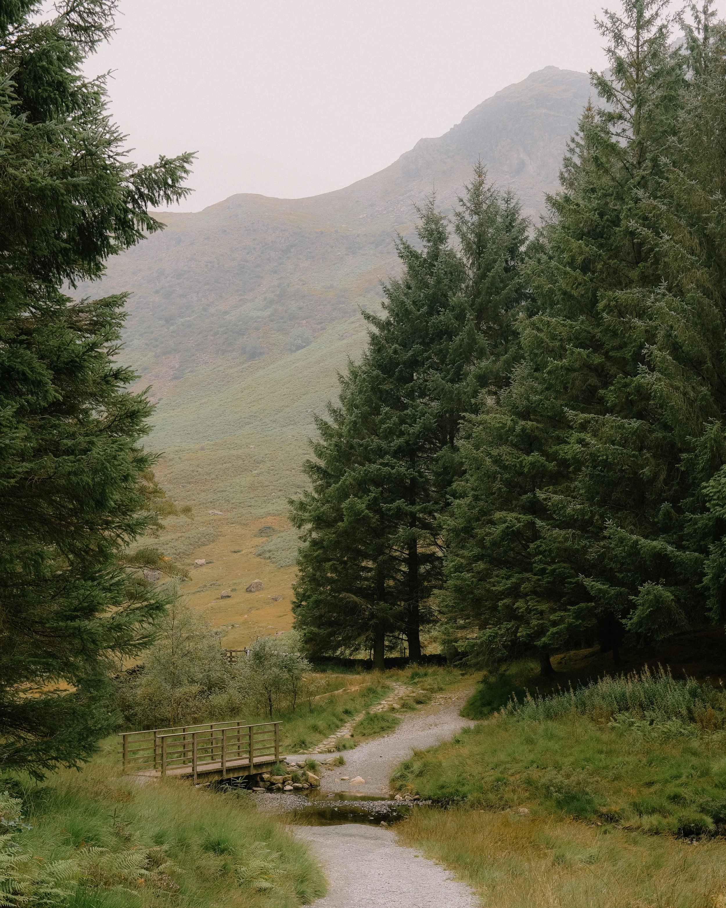 Short and Rewarding Walks in the Lake District