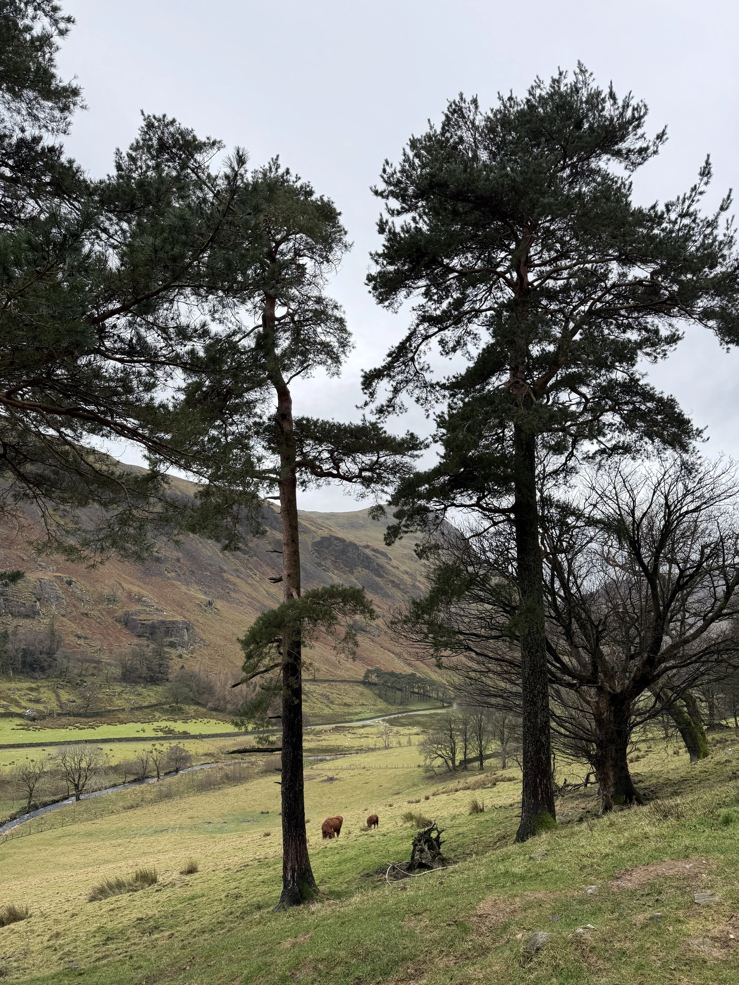 Penrith-Ullswater-Glenridding-Hallin-Fell-North-Lakes-Lake-District-itinerary-Windermere-Lake-District-UK-travel-staycation-UK-landscape-Grasmere-Ambleside-travel-photography-Tanya-Arya-photography21.JPG