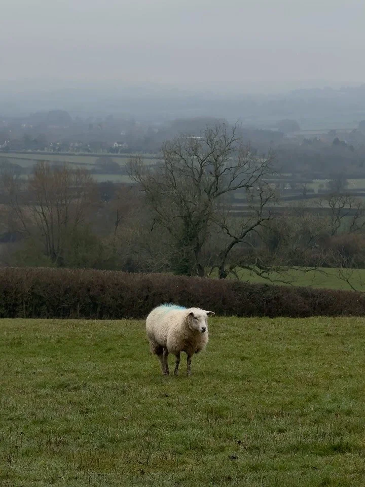 A big old winter round up and camera roll dump before Spring starts next week!!! 🌧️☔️🧦⛷️

1. A very wintery countryside view in the Cotswolds 
2. The most beautiful full moon in the French Alps 
3+4. Rewearing my fav colour combo on repeat in diffe