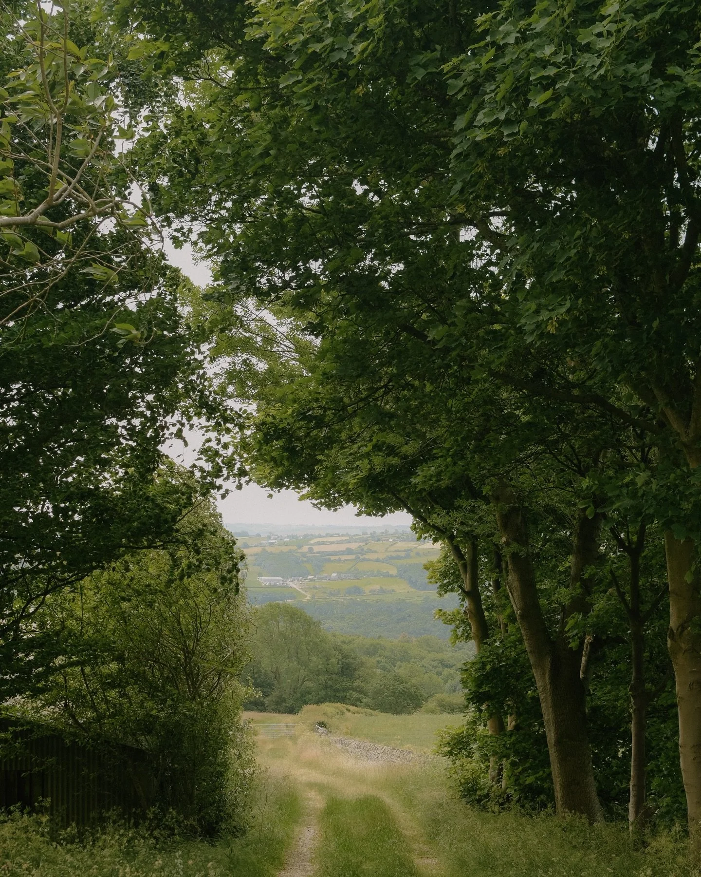 Varying shades of green from spring in the Peak District 💚🌱🌳🍃🥦

Find lots of photos and UK travel inspiration in my bio and follow for more 🫶🏼

&mdash;

#peakdistrictnationalpark #peakdistrictwalks #greenaesthetic #natureloversofinstagram #nat