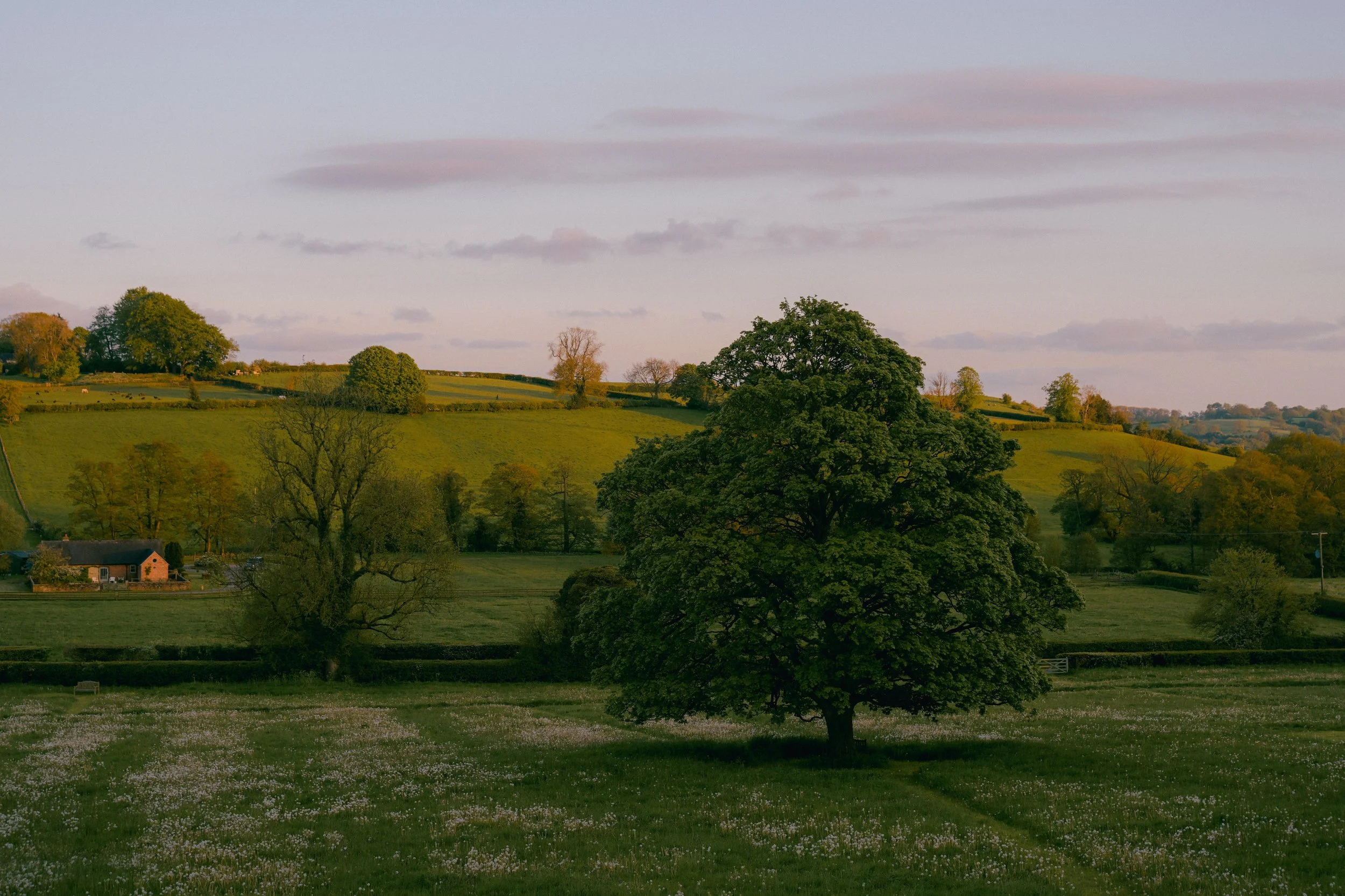 Callow-Hall-Wildhive-Peak-District-UK-travel-Tanya-Arya-photography12.JPG