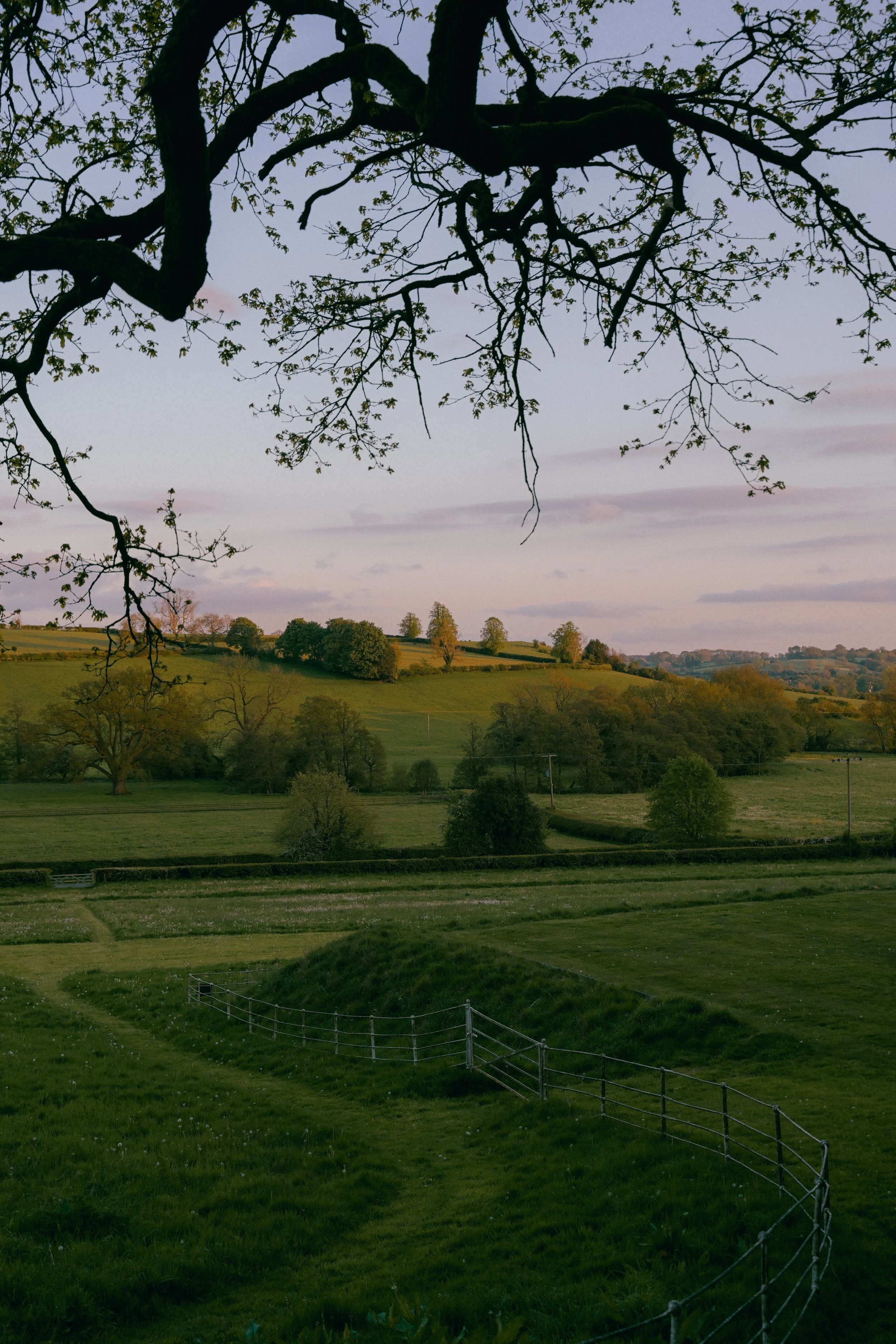 Callow-Hall-Wildhive-Peak-District-UK-travel-Tanya-Arya-photography14.JPG