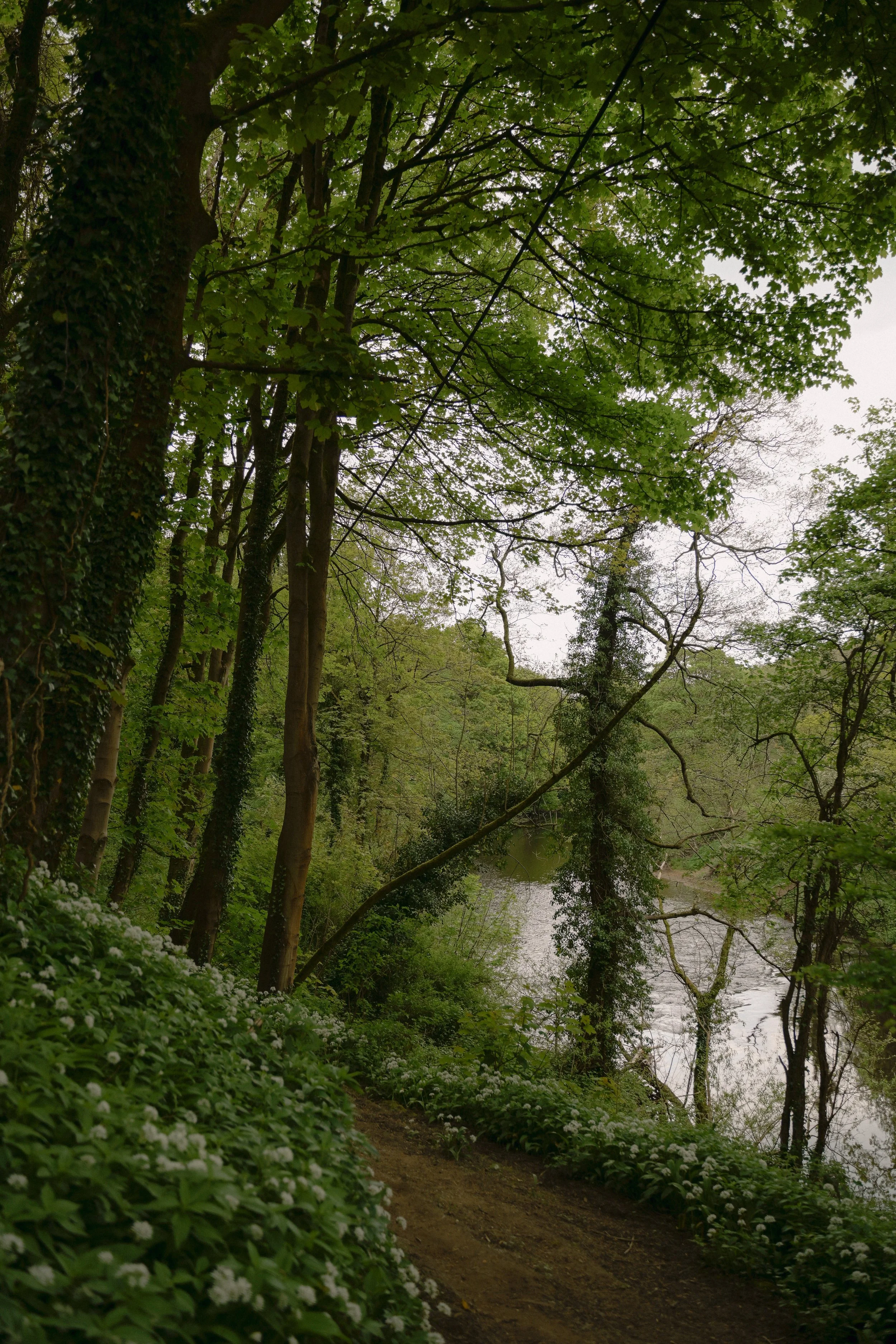 Callow-Hall-Wildhive-Peak-District-UK-travel-Tanya-Arya-photography31.JPG