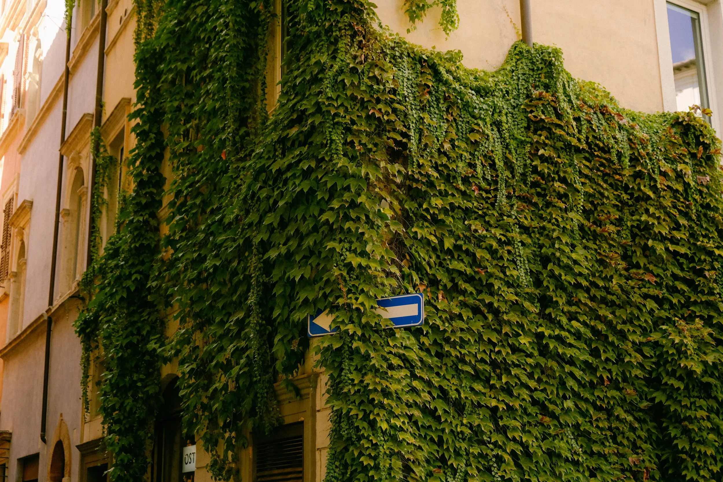 Rome-Italy-Vatican-City-European-Travel-Blogger-Tanya-Arya-photography2.JPG
