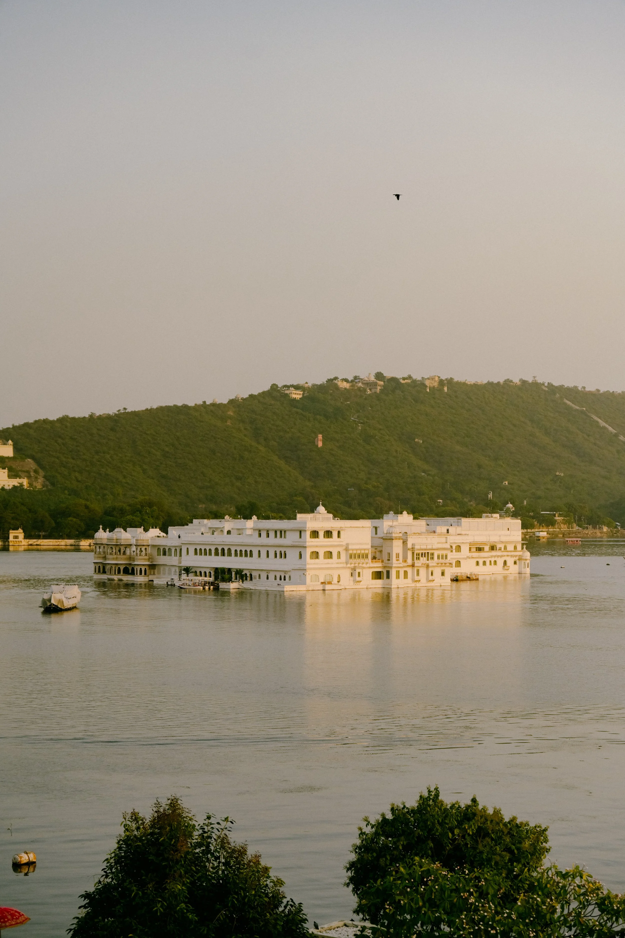 A Photo Diary from India: Delhi, Udaipur and Kerala