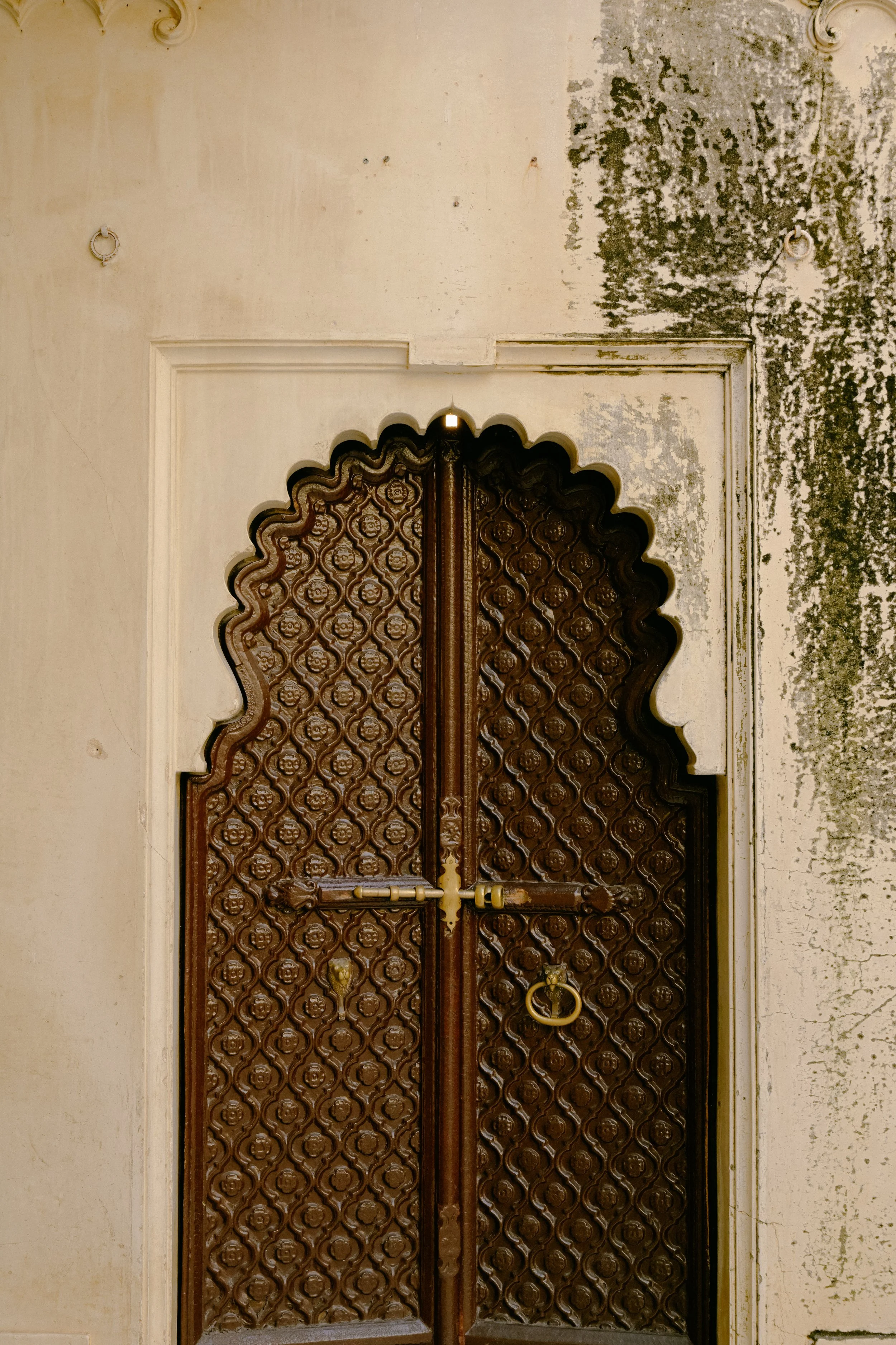 India-Delhi-Udaipur-Kerala-Film-Photography-Travel-Blogger-Tanya-Arya-photography22.JPG