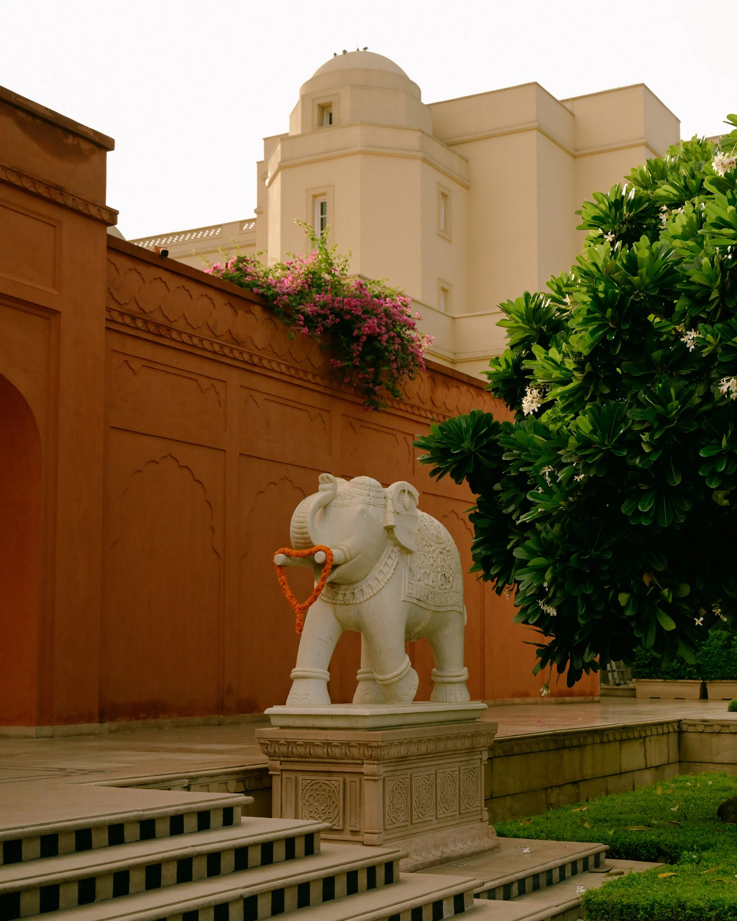 India-Delhi-Udaipur-Kerala-Film-Photography-Travel-Blogger-Tanya-Arya-photography8.JPG