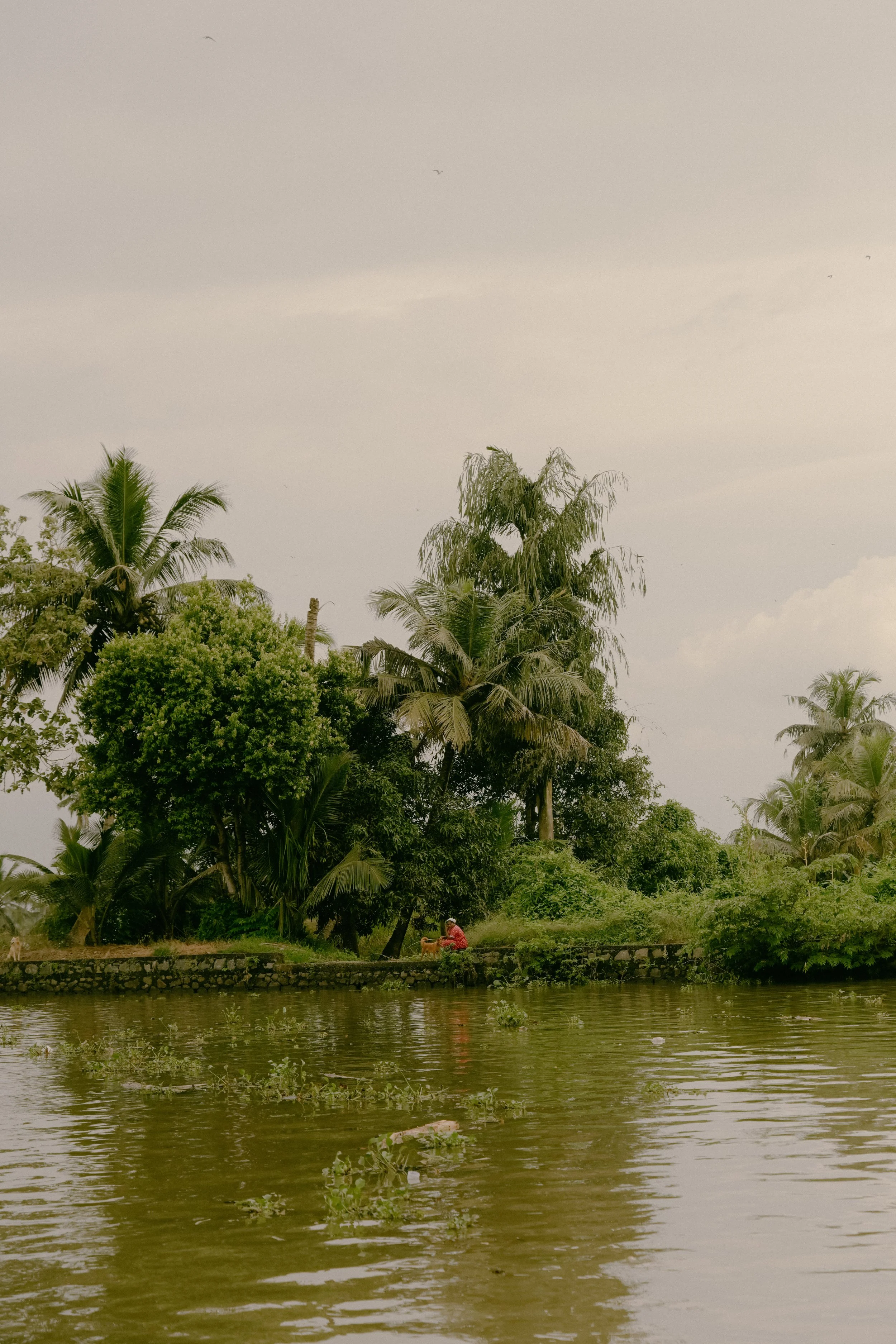 India-Delhi-Udaipur-Kerala-Film-Photography-Travel-Blogger-Tanya-Arya-photography31.JPG