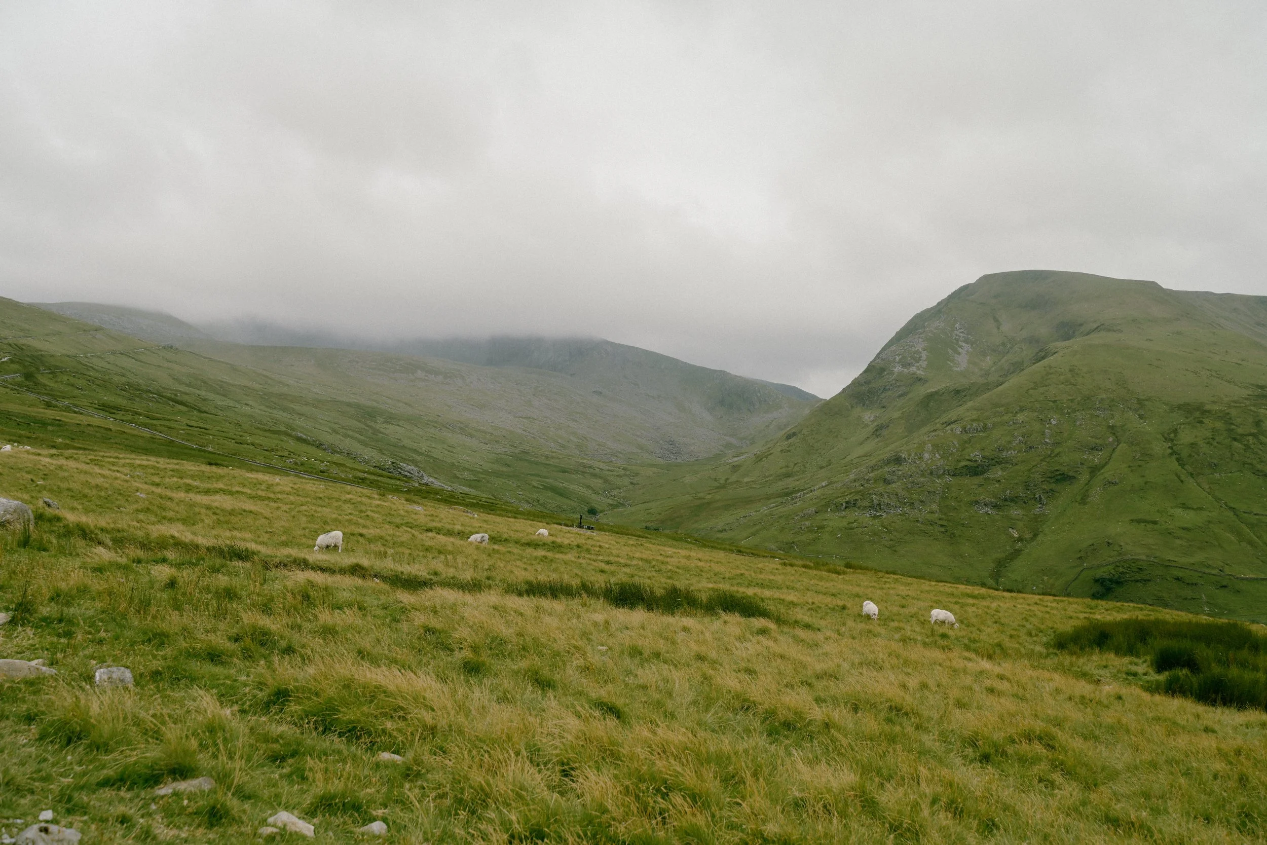 UK-Wales-Snowdonia-UK-TRAVEL-North-Wales-Hiking-Cabin-Photography-Travel-Blogger-Tanya-Arya-photography21.JPG