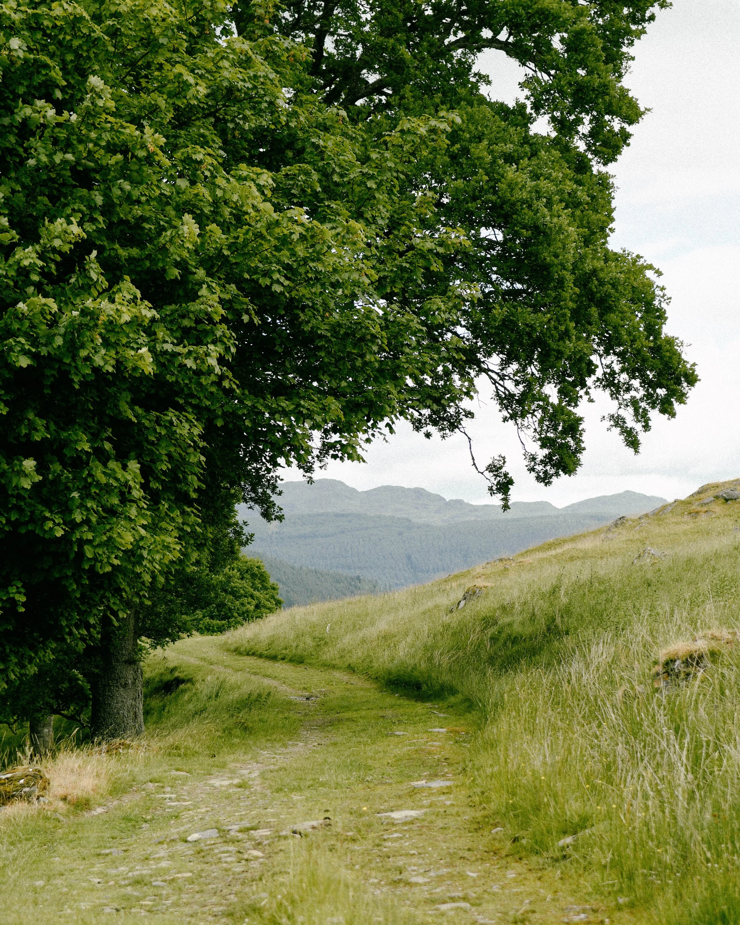 Tanya Arya Scotland Loch Tay photography-06.jpg
