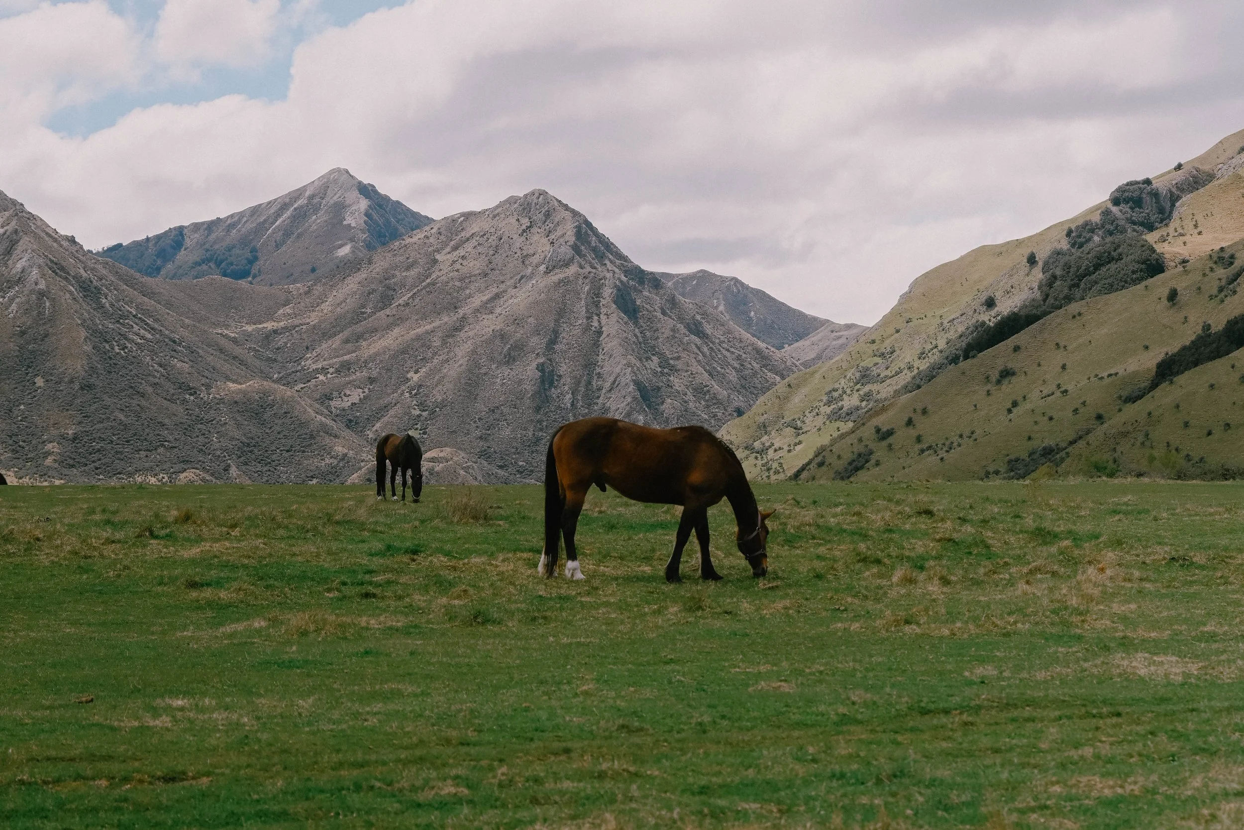 Tanya Arya Queenstown New Zealand South Island photography-5.jpg