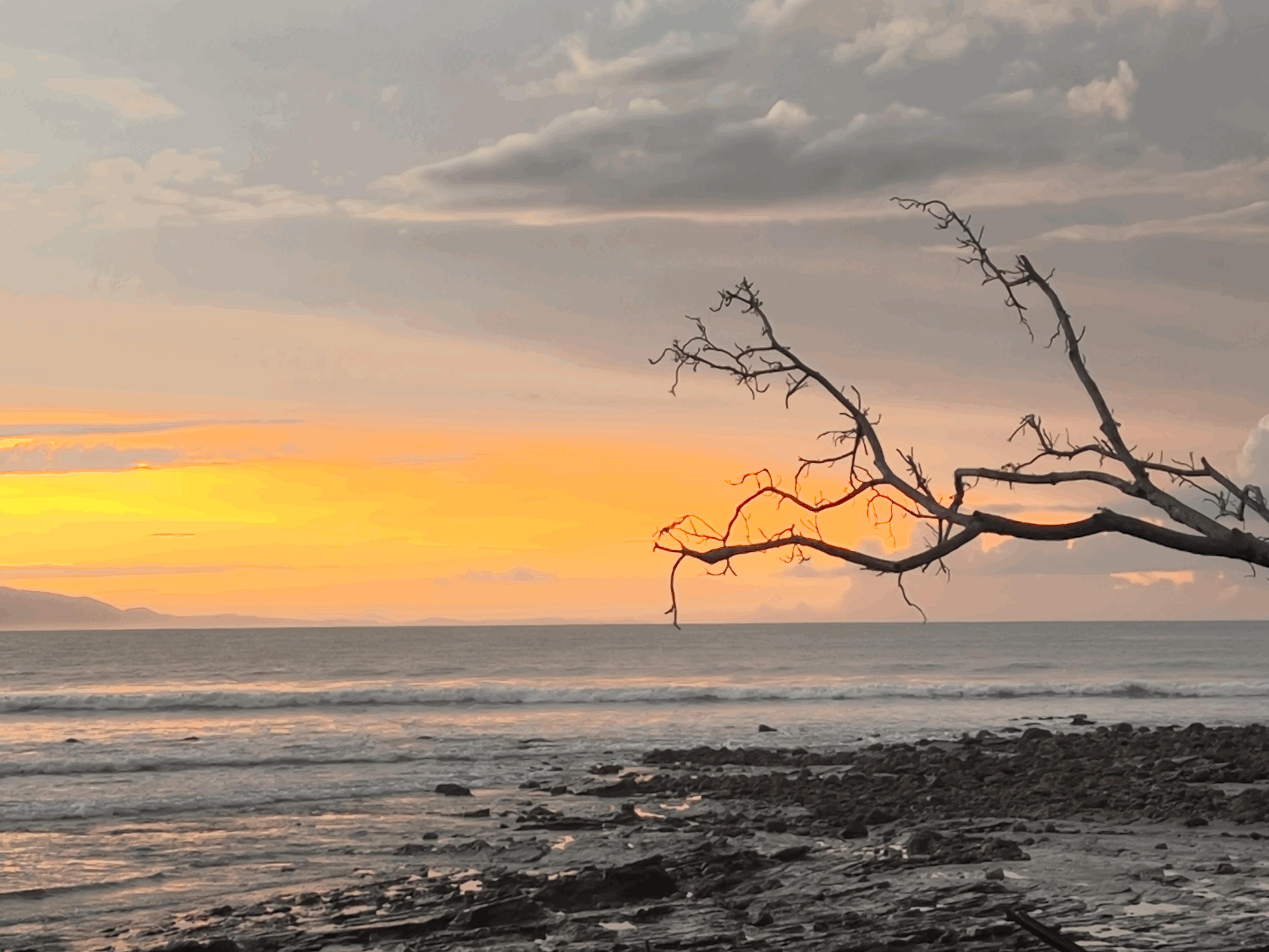 Yoga &amp; Surf in Costa Rica, 2024