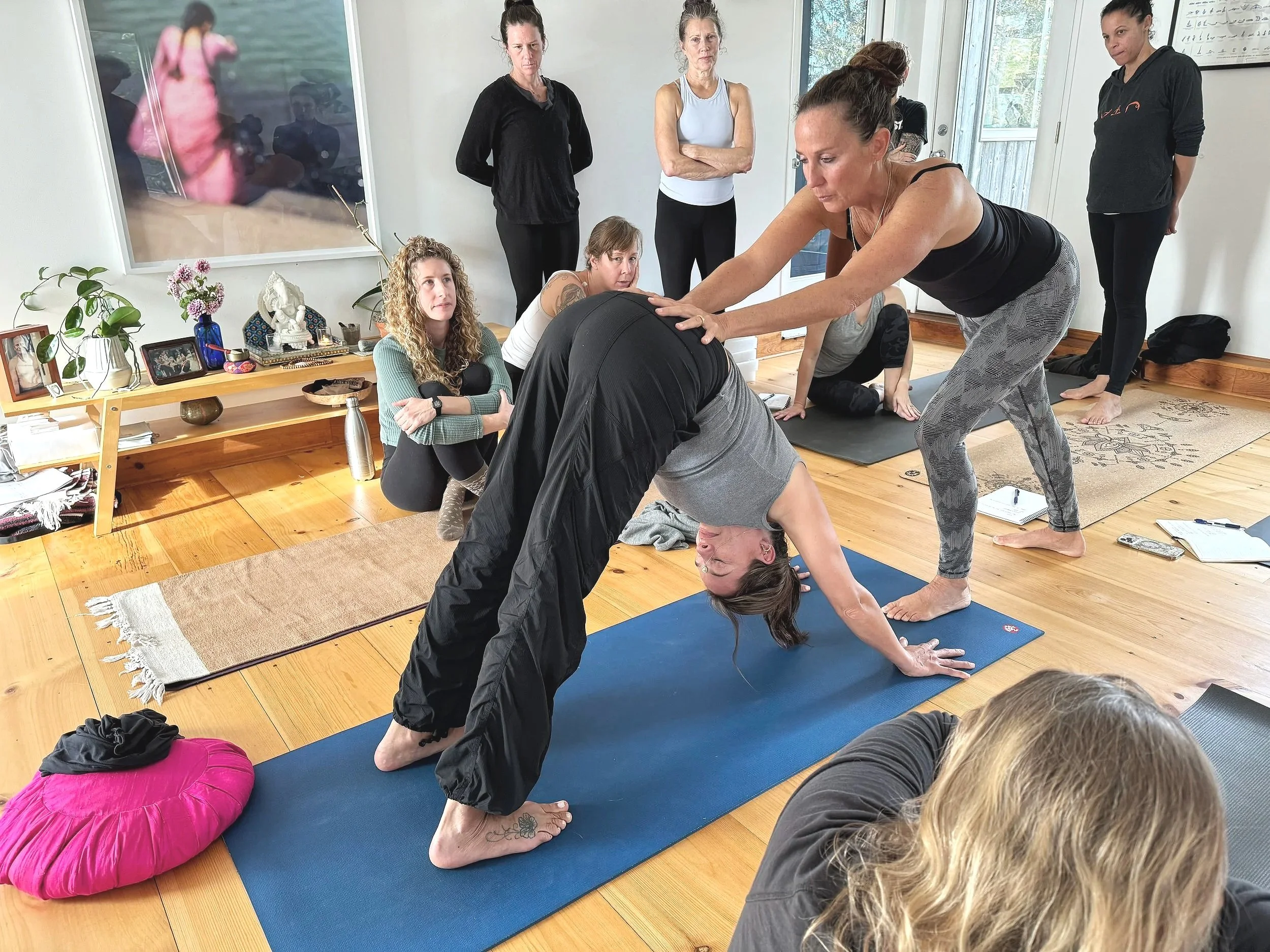 Principles of Adjusting, Fox Dog Yoga, NY, Dec 12