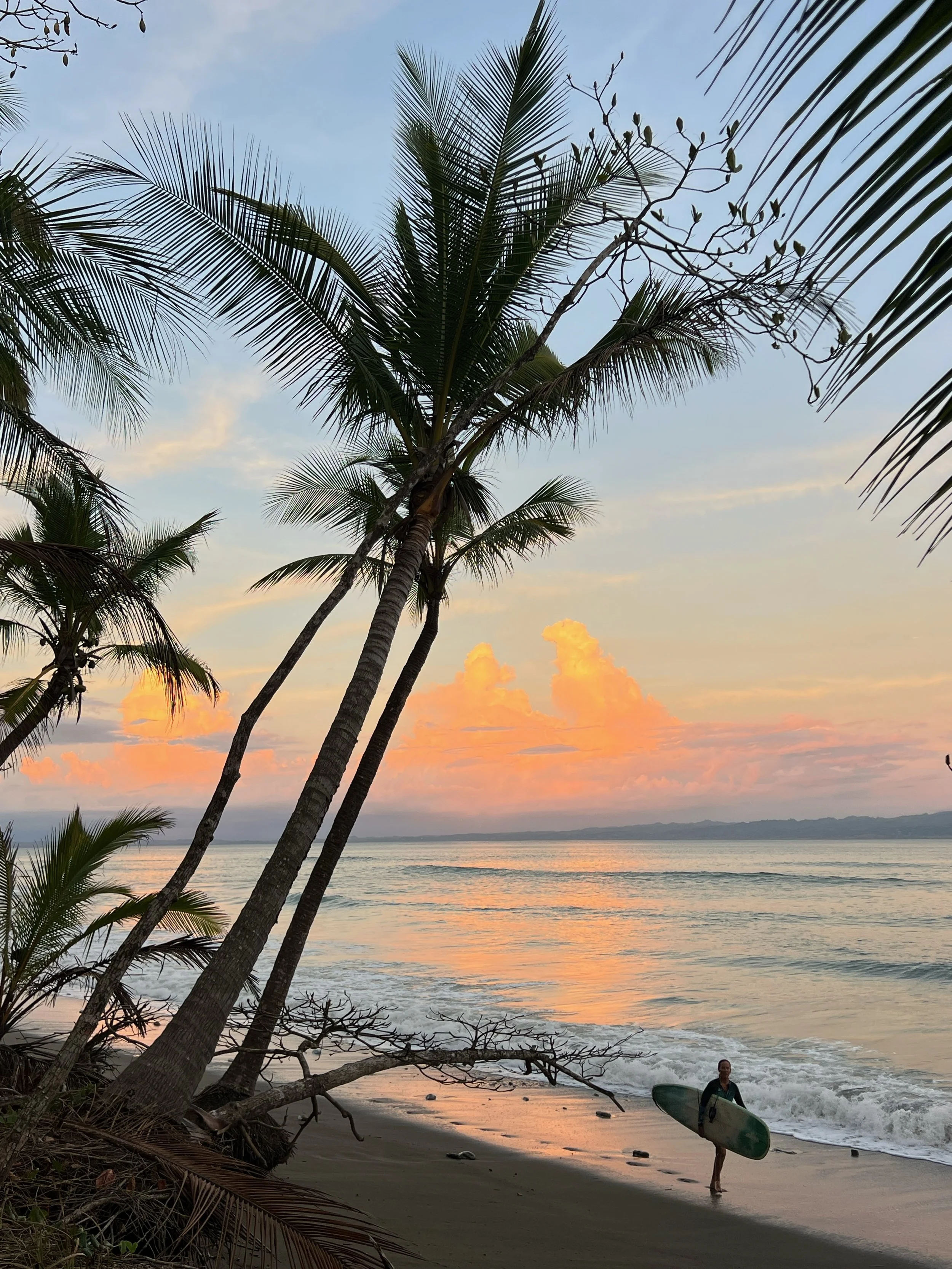 A person holding a surfboard walking on a beach with palm trees and a colorful sunset sky with clouds.
