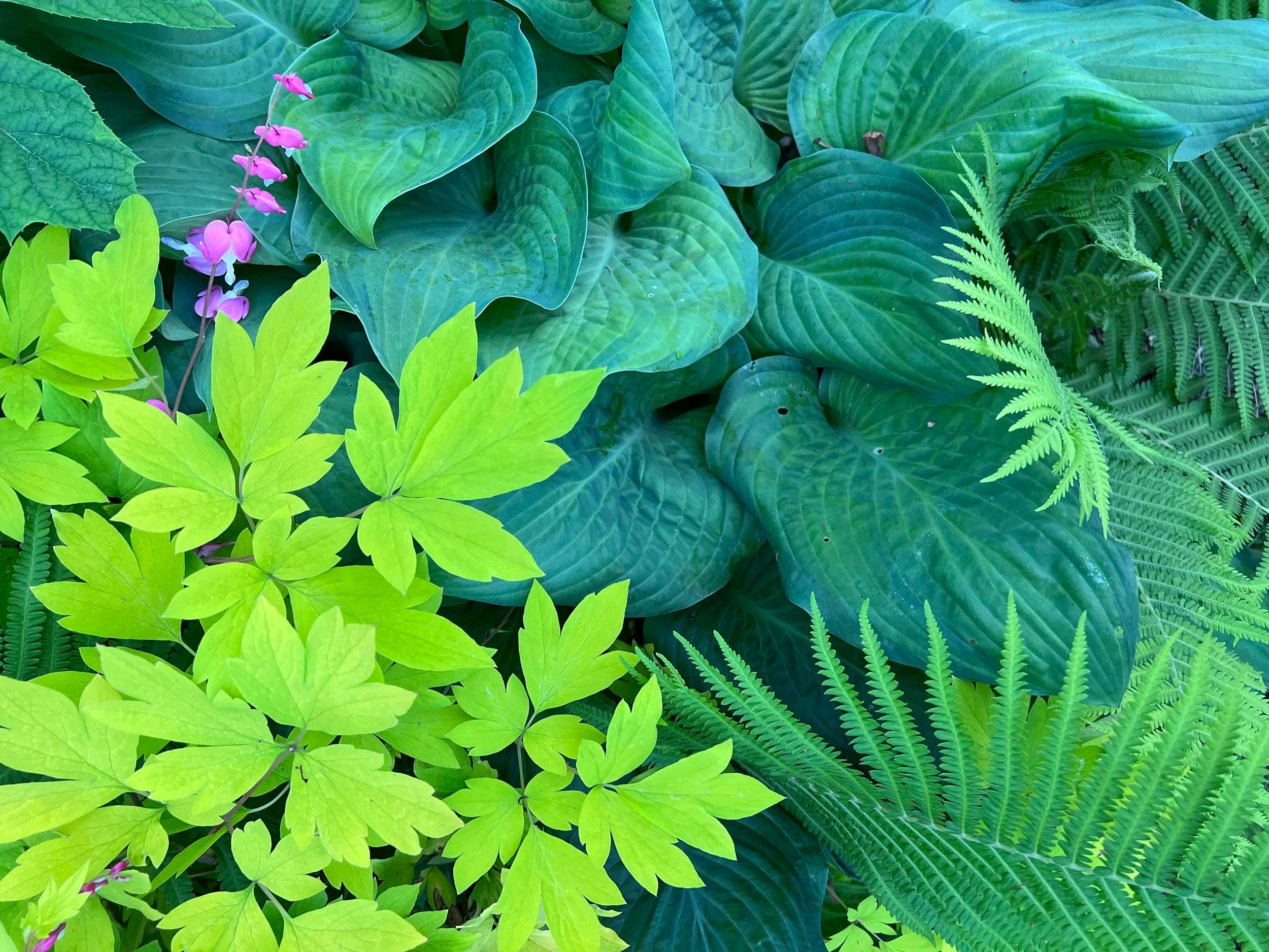 spring cleanse and greenery