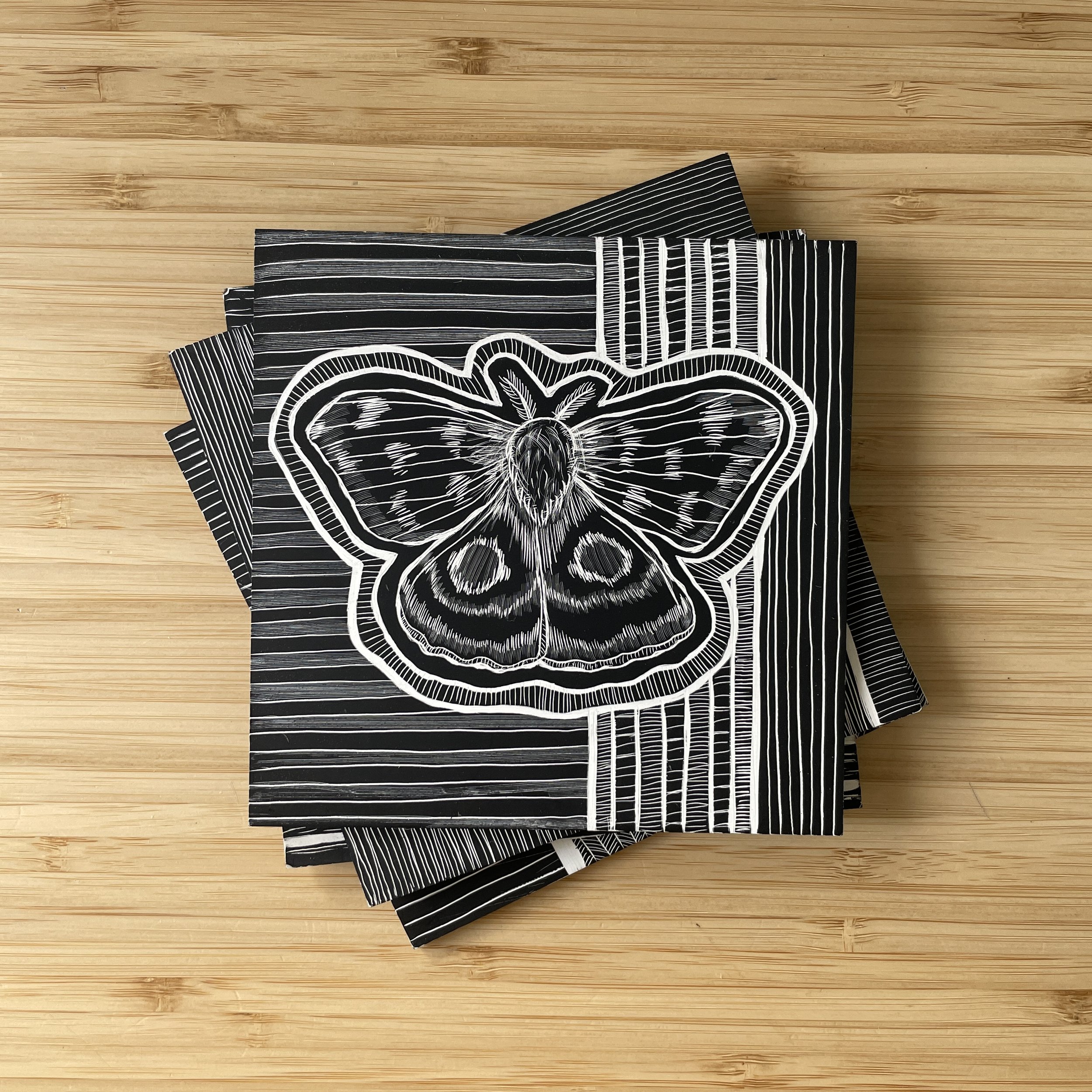 Lo Moth Scratchboard.jpg