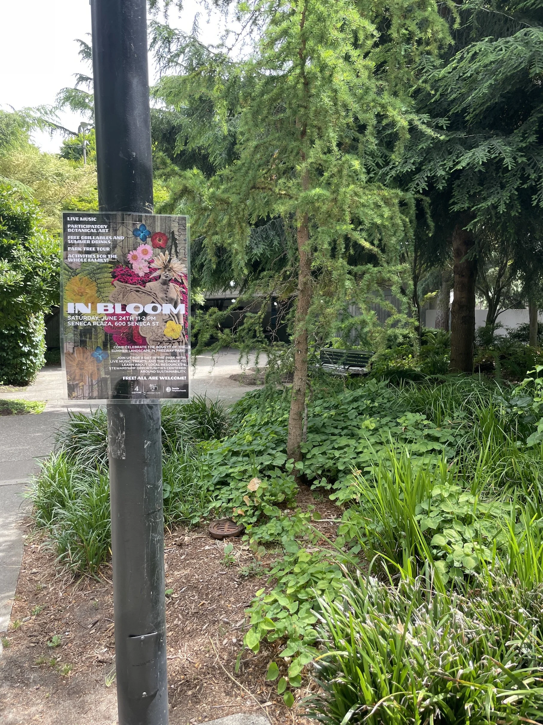 Freeway Park Event Poster.JPG
