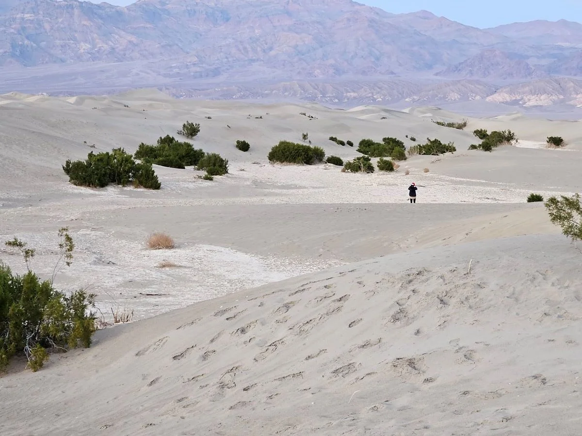 The Bottom of Sand Dunes is Clays