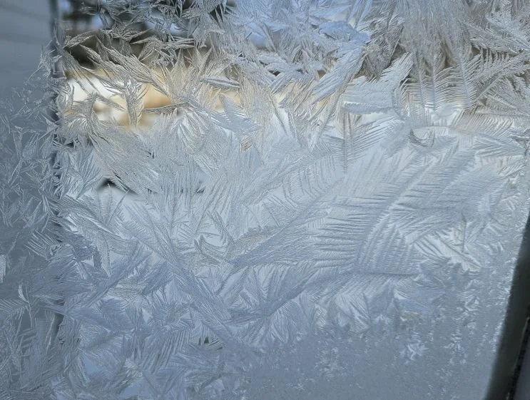 Dendritic crystals