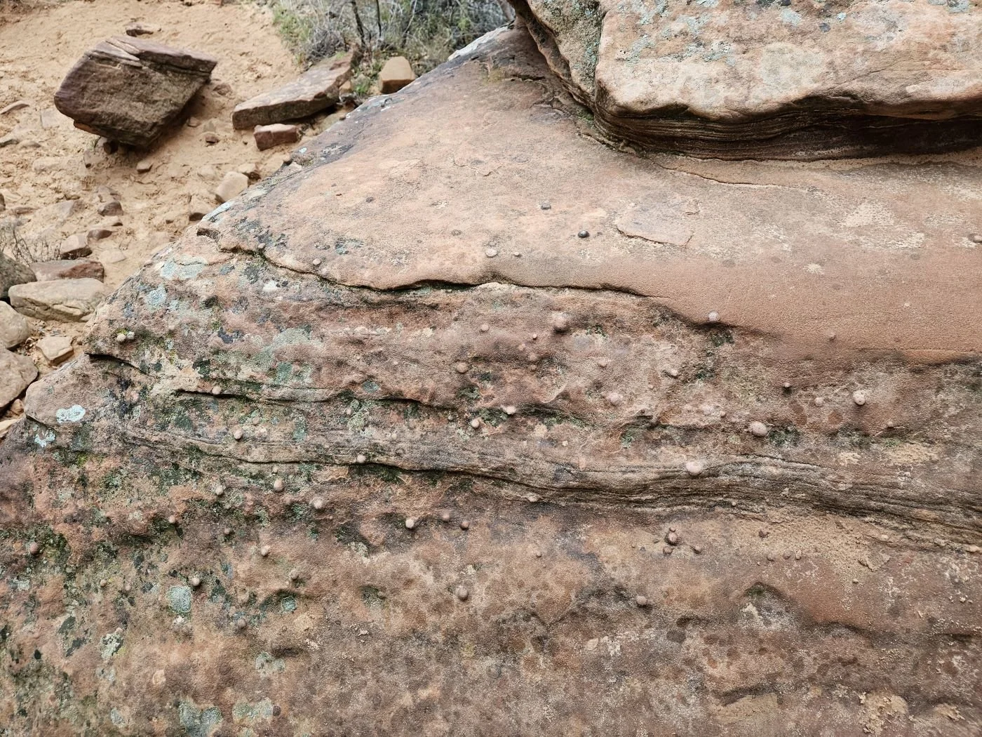 Plenty of visible rock nodules embedded on the surface of the sandstone, but they are not original deposits
