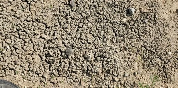 Sodium modified bentonite after drying