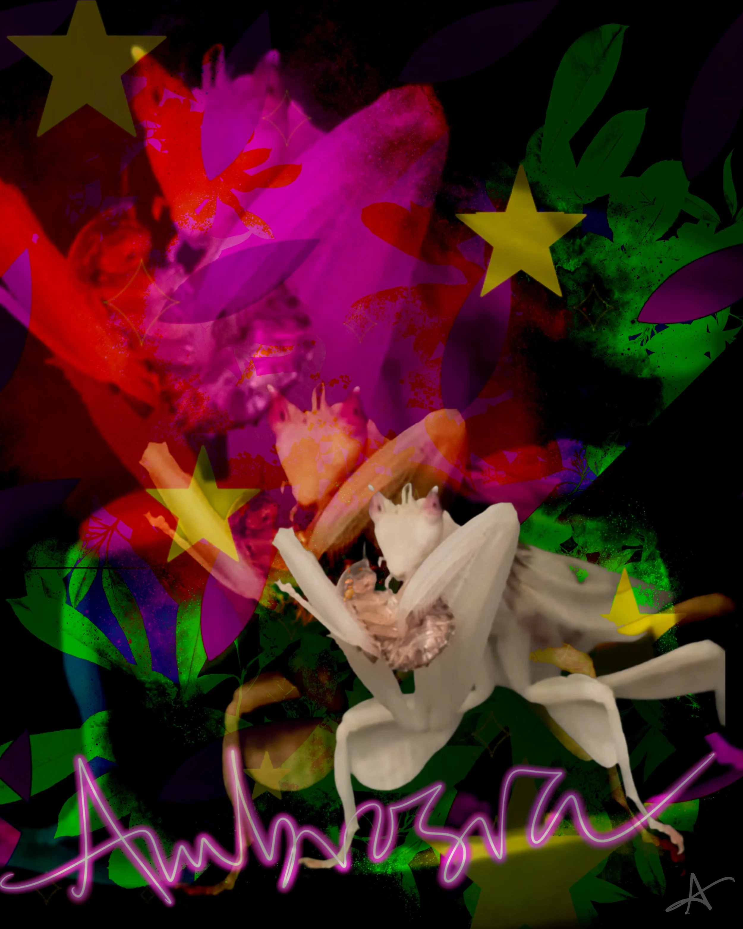 Untitled_Artwork 40.jpg