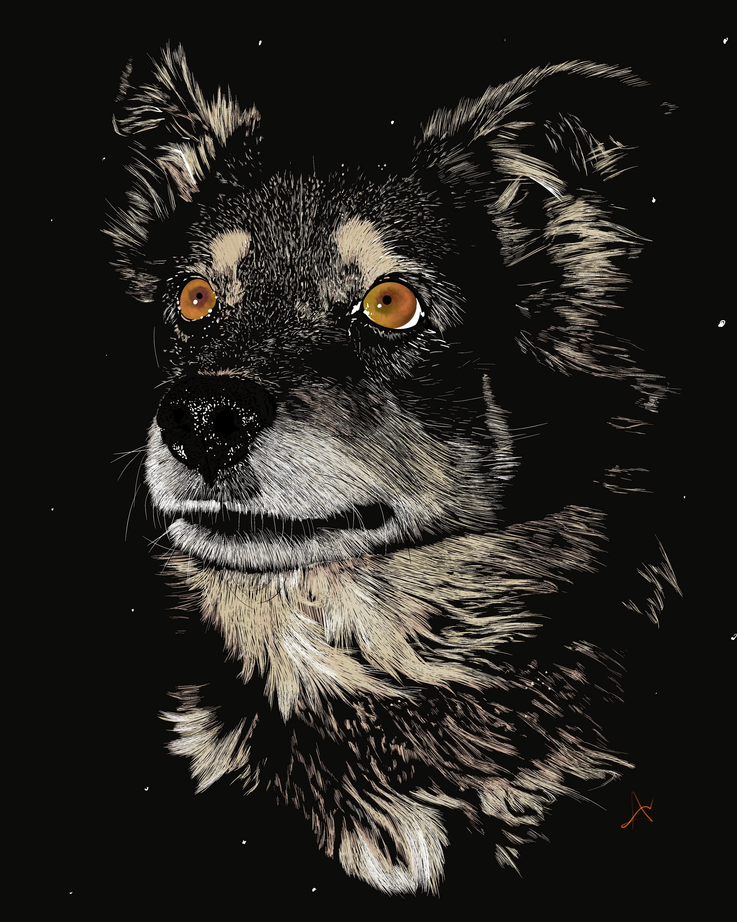 Untitled_Artwork 14.jpg