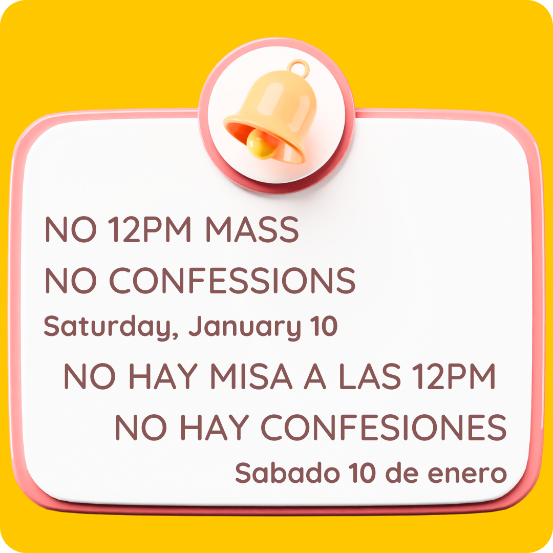 No Daily Mass or Confessions
