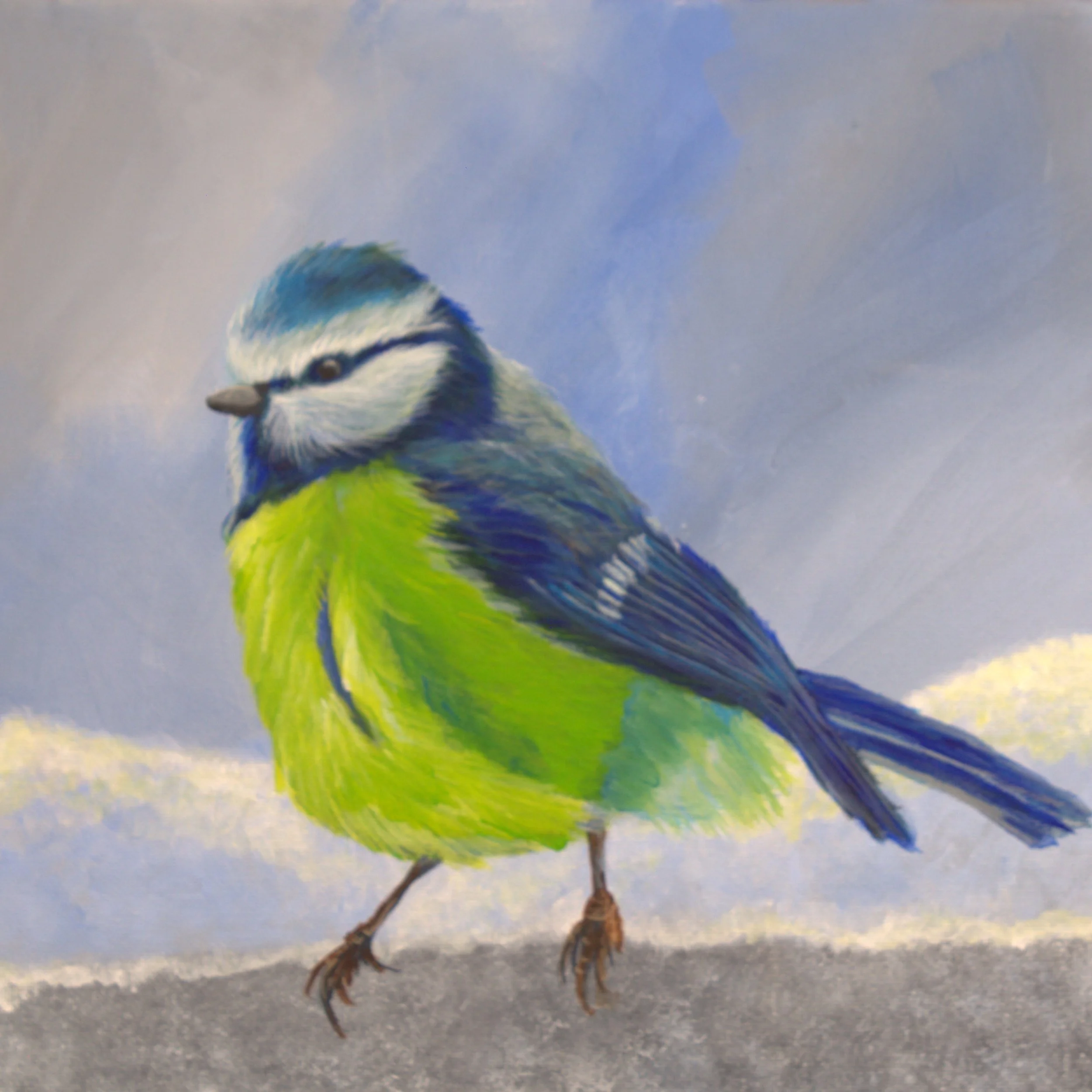 Painted bird with blue, white, and green feathers standing on a surface against a cloudy sky background.