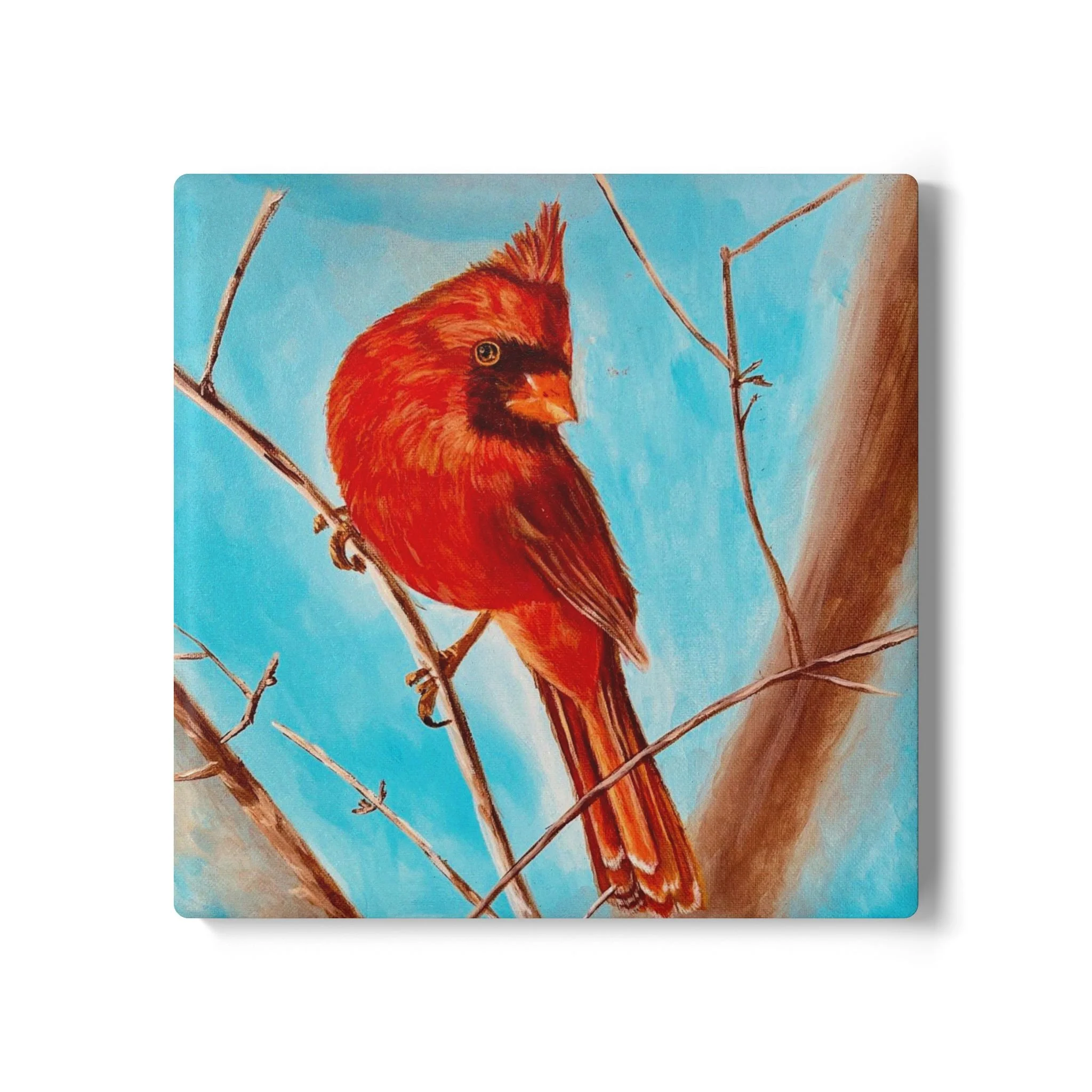 d52eb685f82dcb599c867314d43588fc