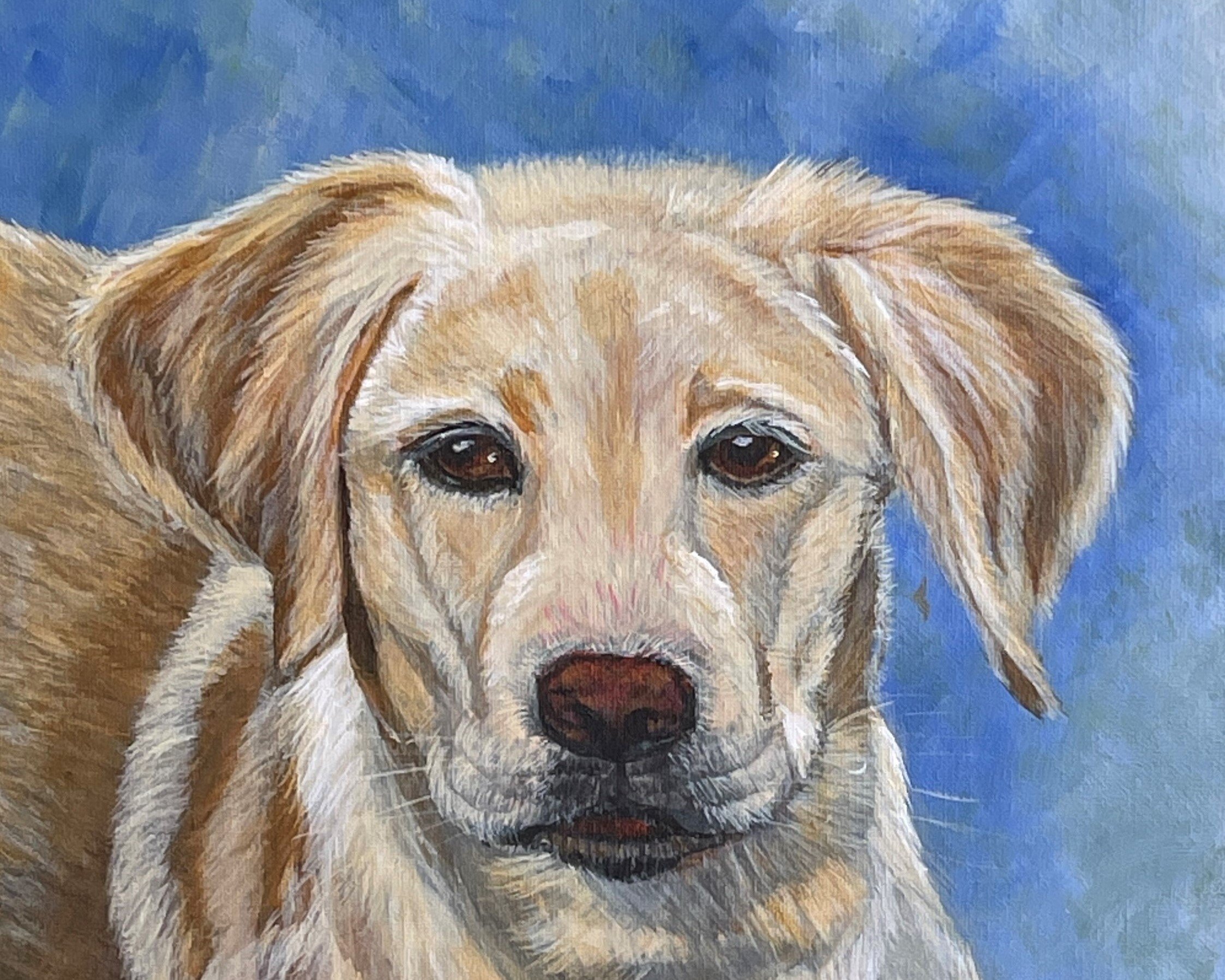 yellowlab2.jpg
