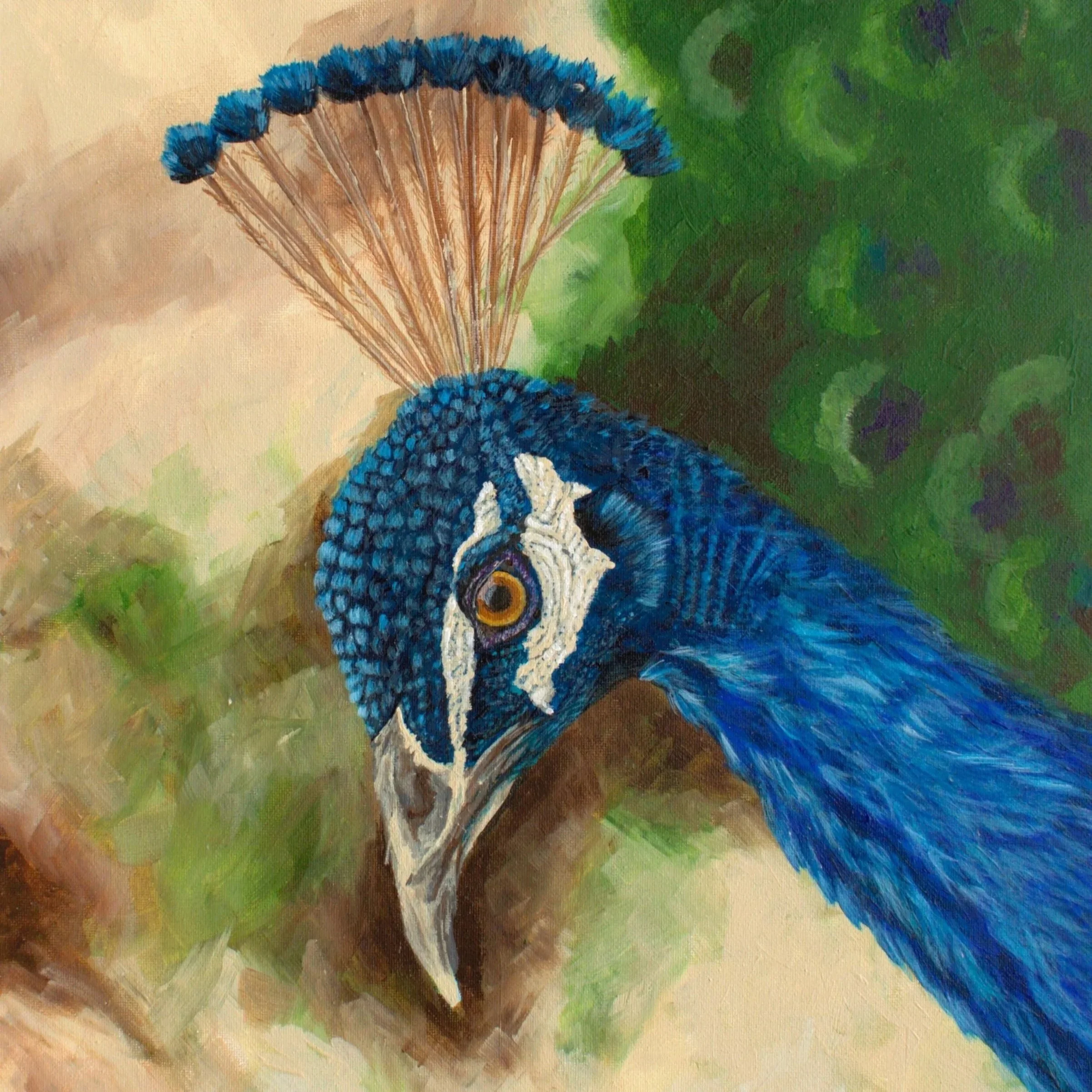 Graceful Spectrum of the Peacock