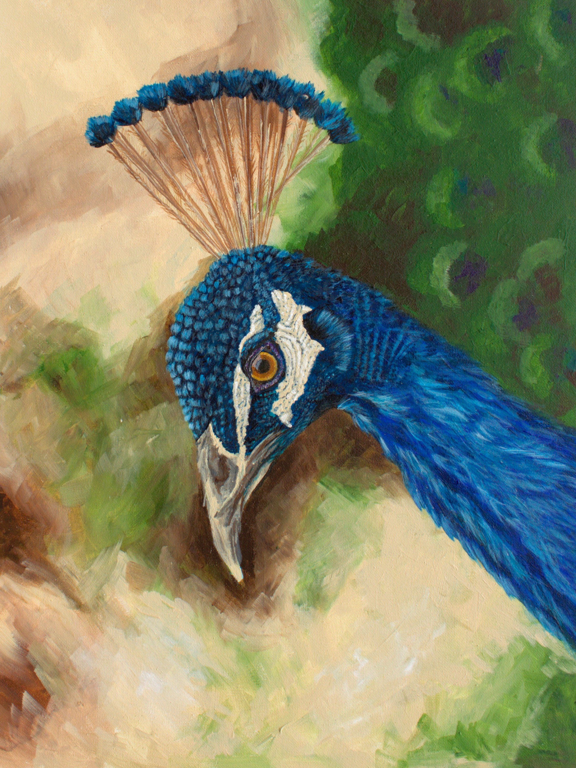 Peacockface16x20.jpg