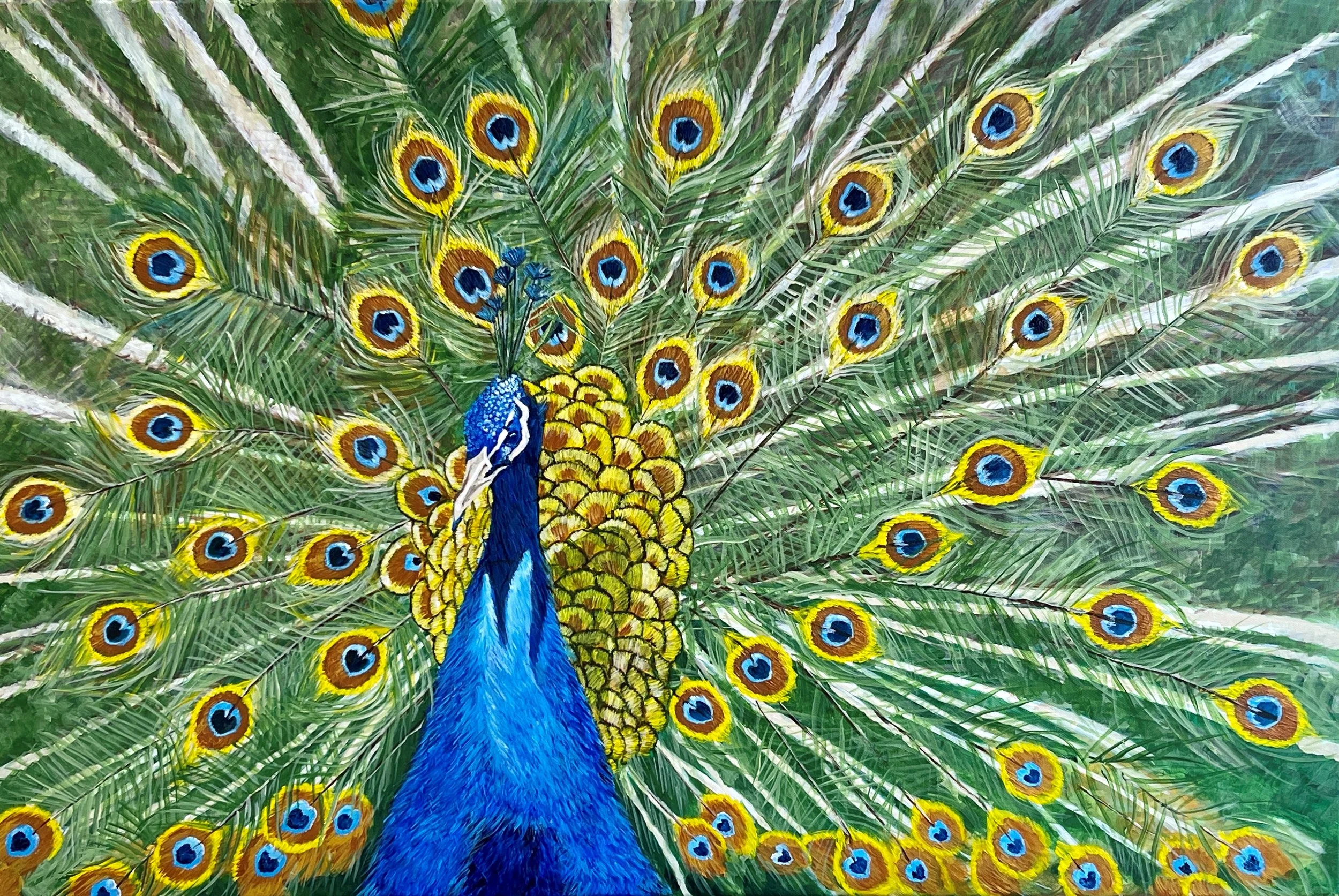 Painting of a peacock with its tail feathers fanned out, showcasing vibrant eye patterns in blue, yellow, and orange.