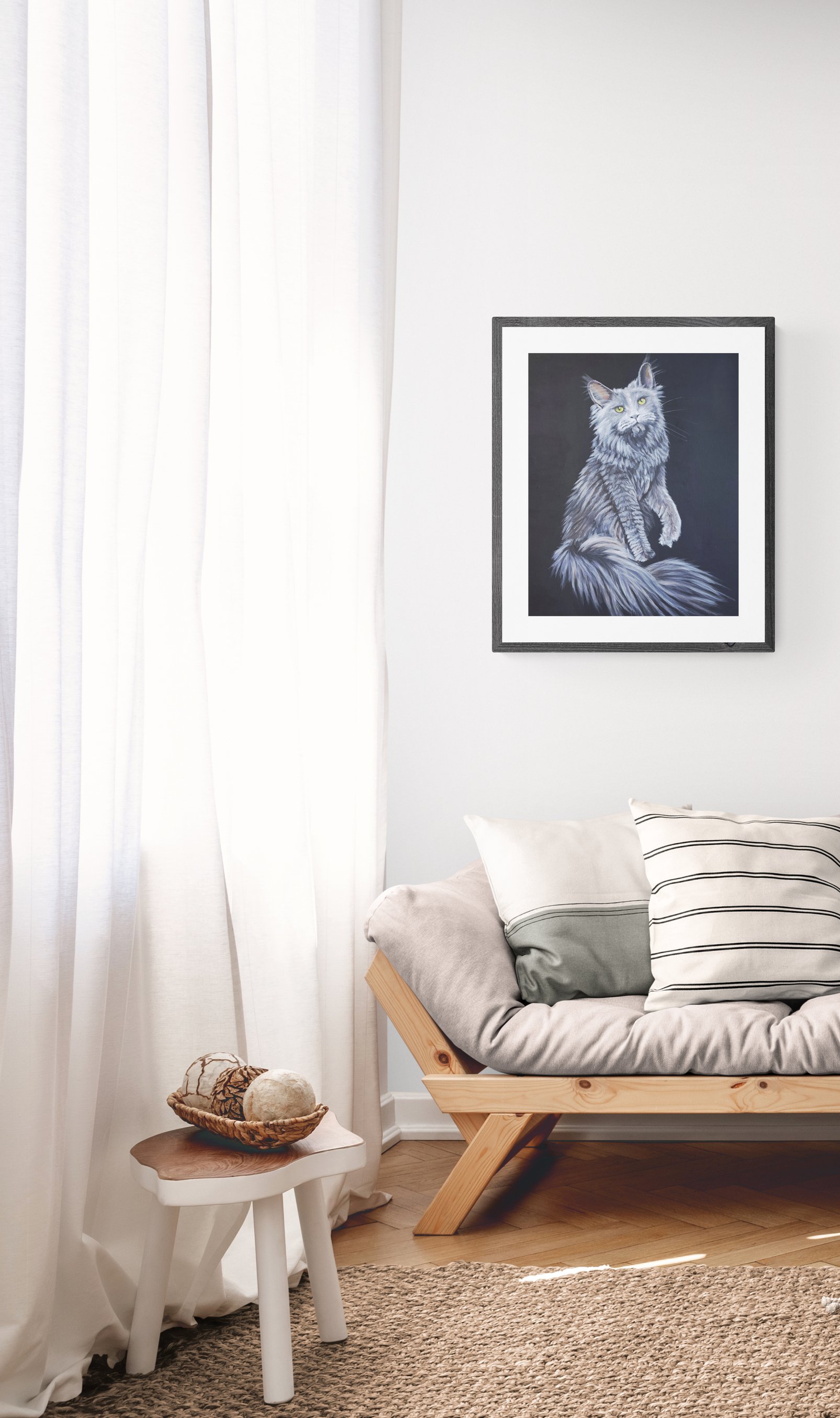 GrayMaineCoon.jpg