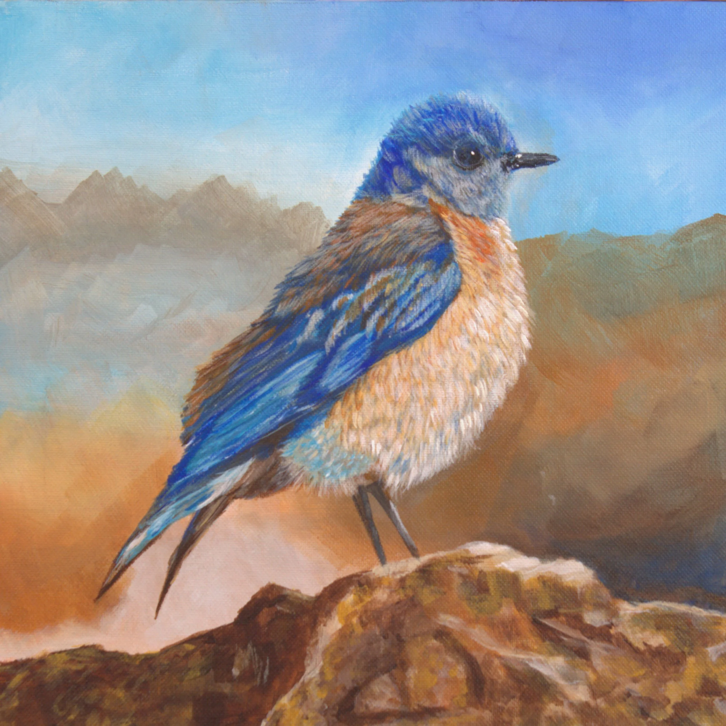 BlueTanBird.jpg