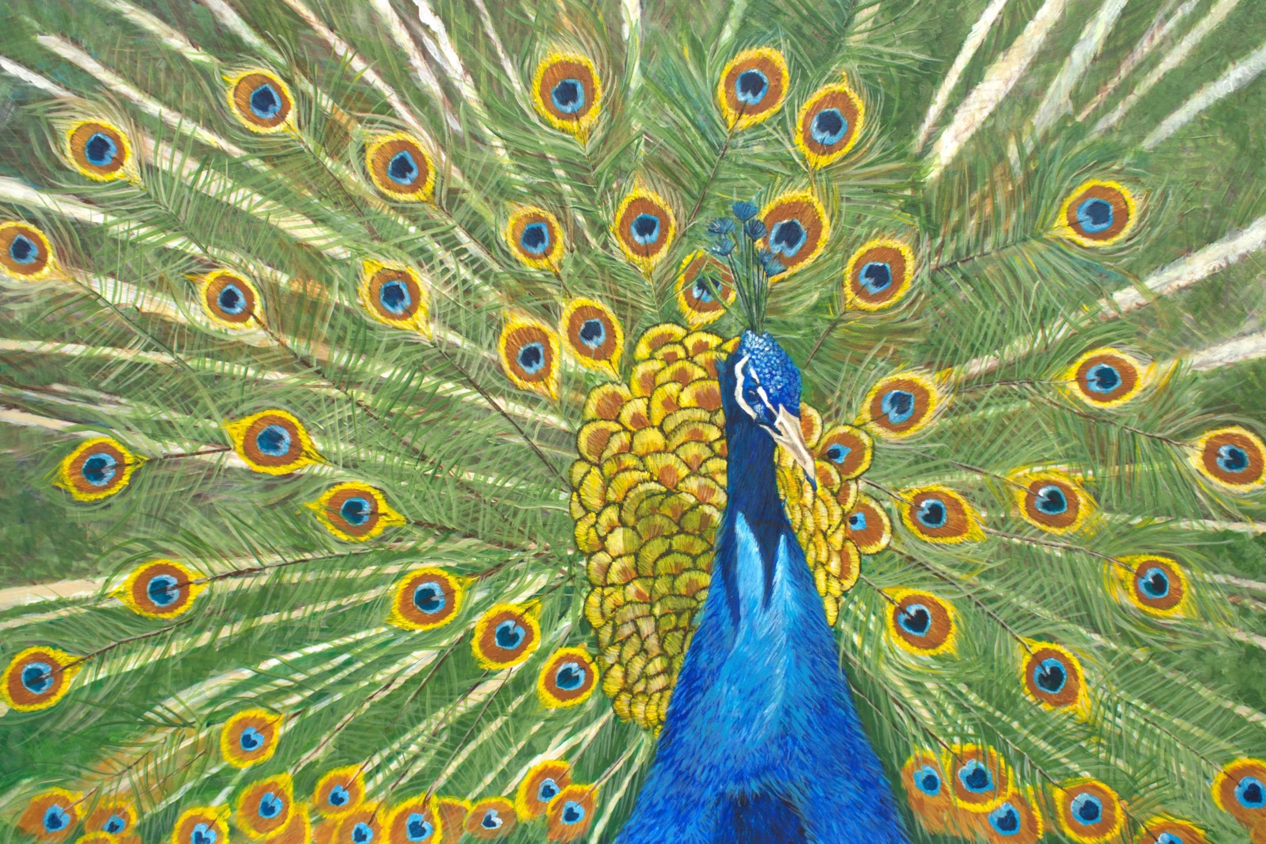Peacock24x36V2.jpg
