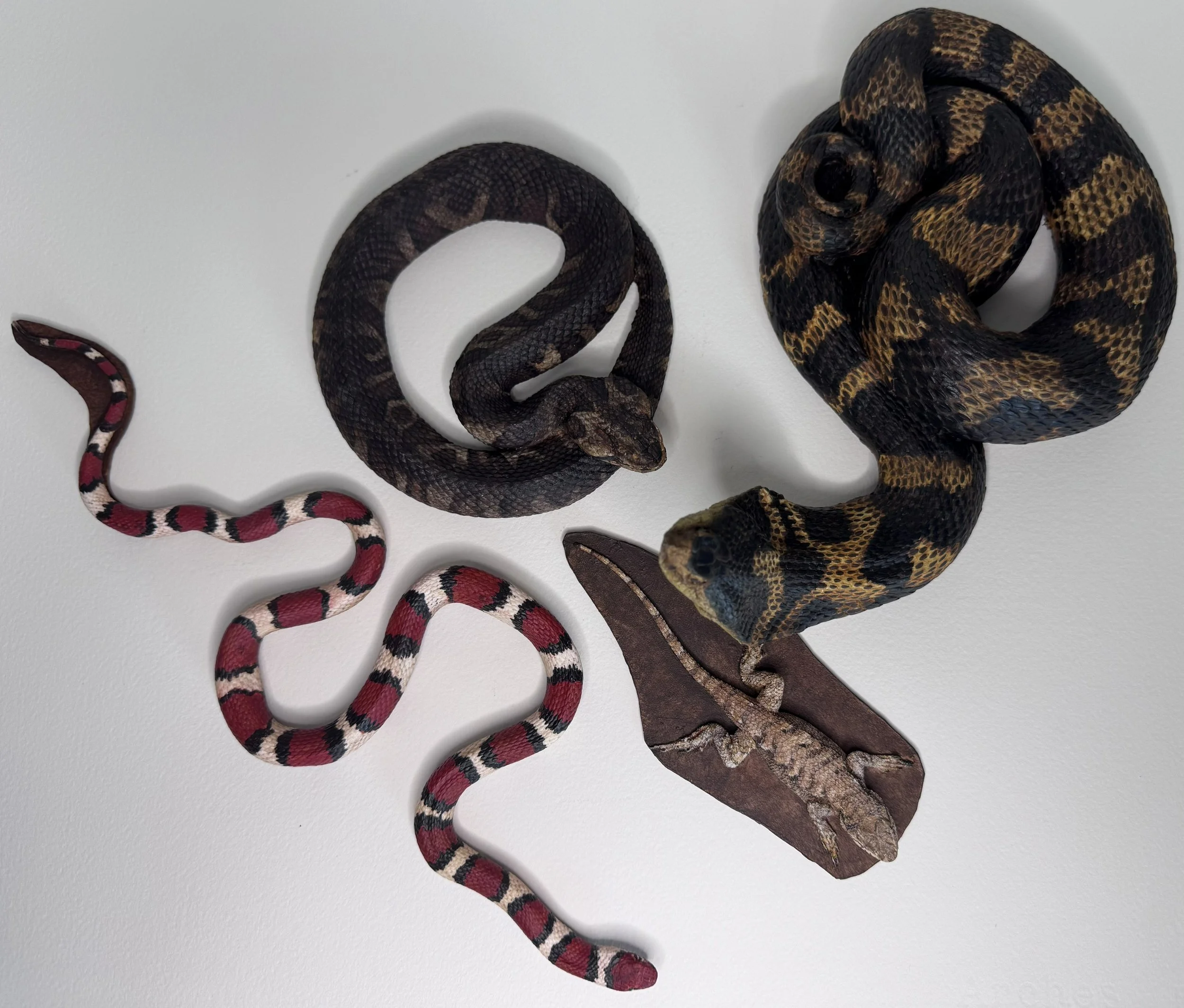 Reptile Replicas for Arkansas Game and Fish Commission