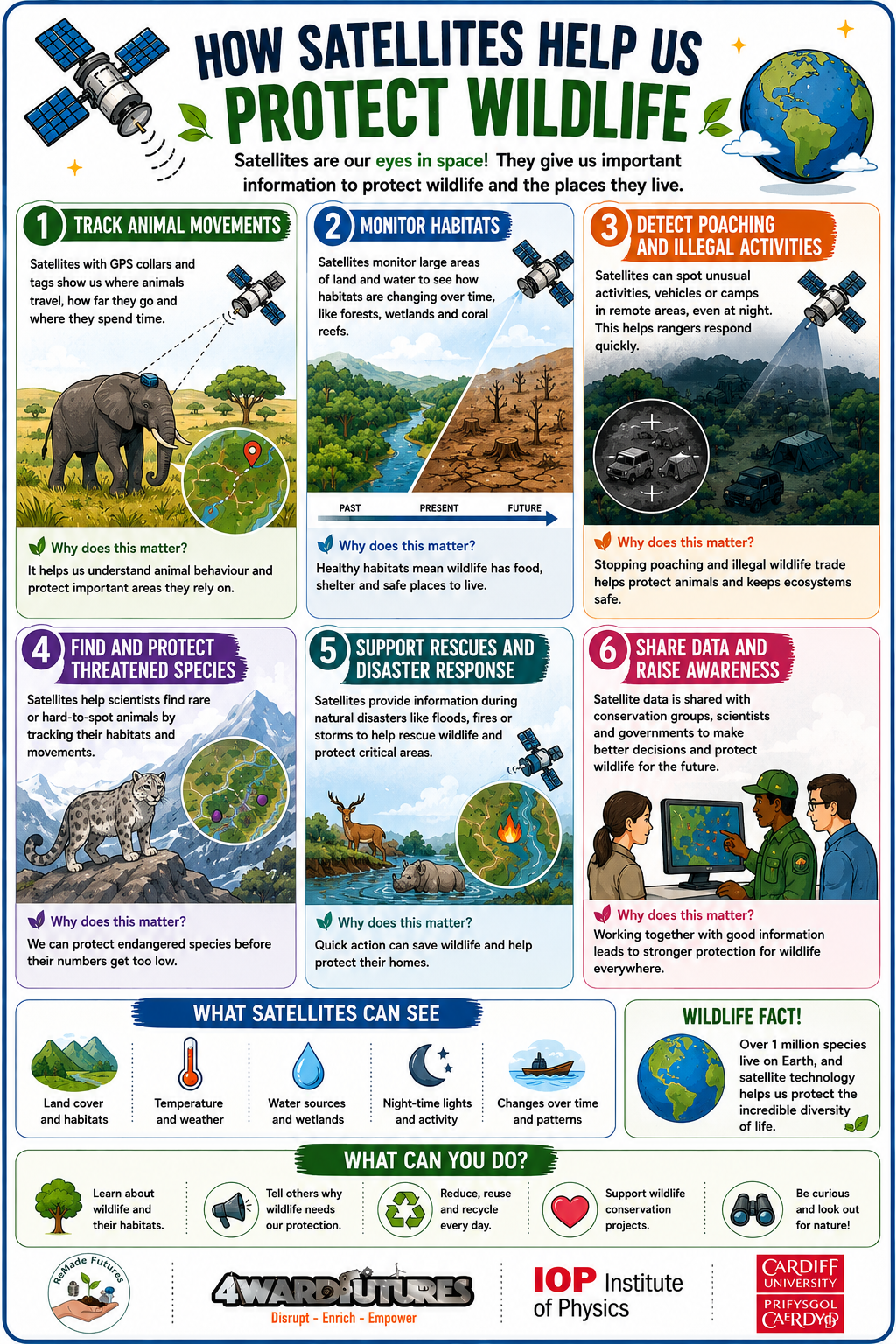 protect wildlife.png