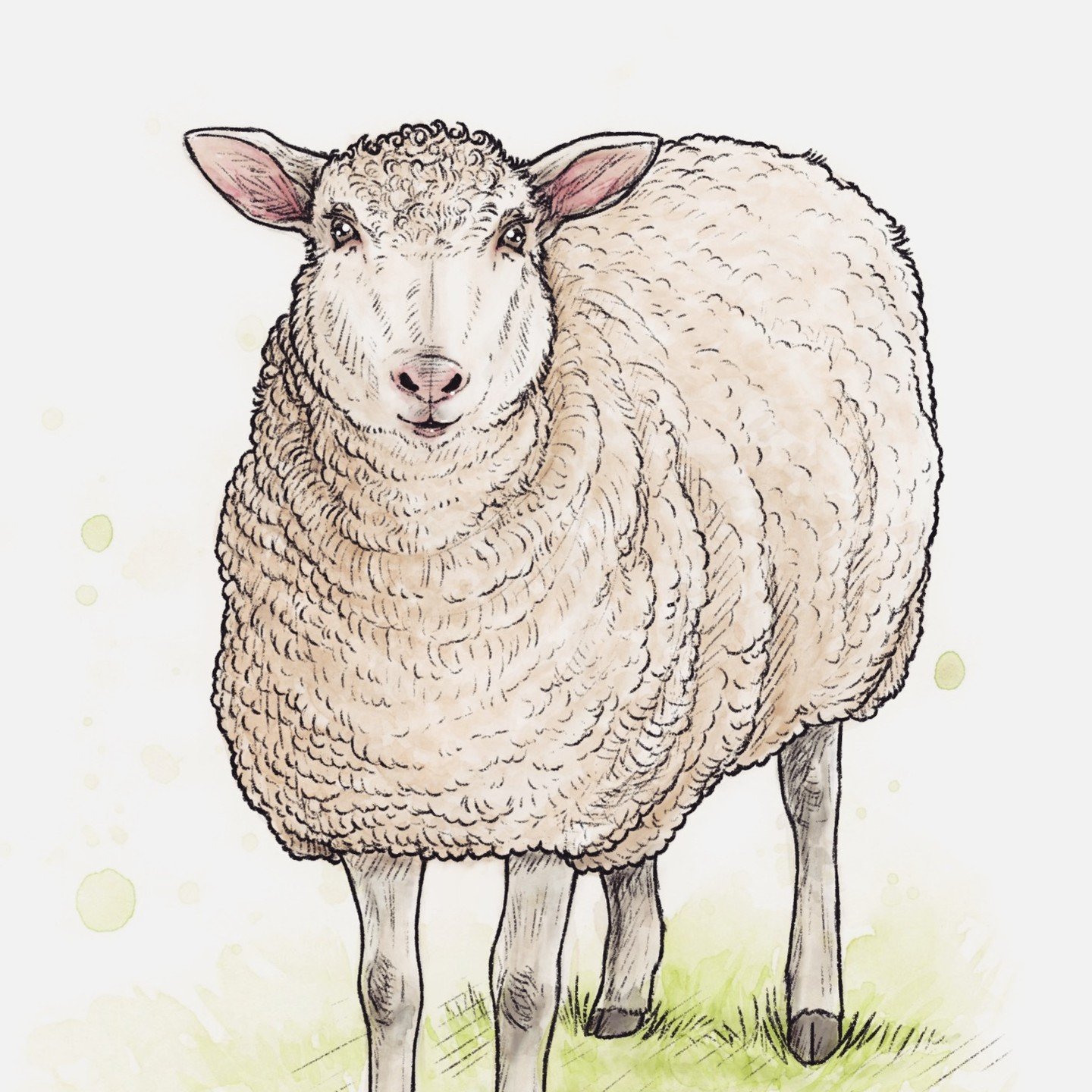 Plein de petits moutons ont rejoint ma cliente hihi! Elle fera de belles impressions de toutes sortes avec ceux-ci. Tr&egrave;s h&acirc;te de tous vous les montrer. Merci infiniment @lesfilsentrelaces d'avoir fait appel &agrave; moi pour leur cr&eacu