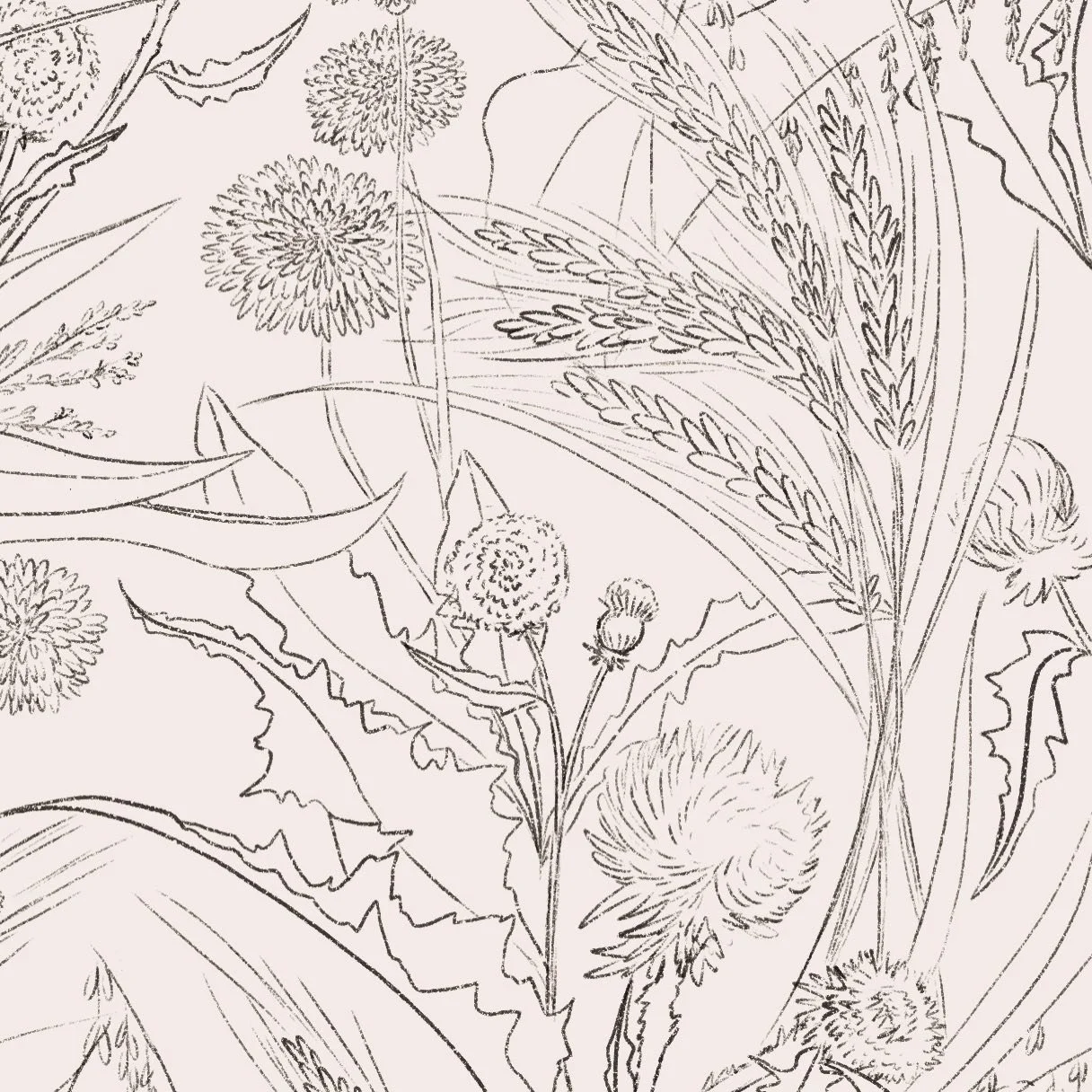 Esquissage pour un nouveau projet d&rsquo;&eacute;dition. 🤗📖