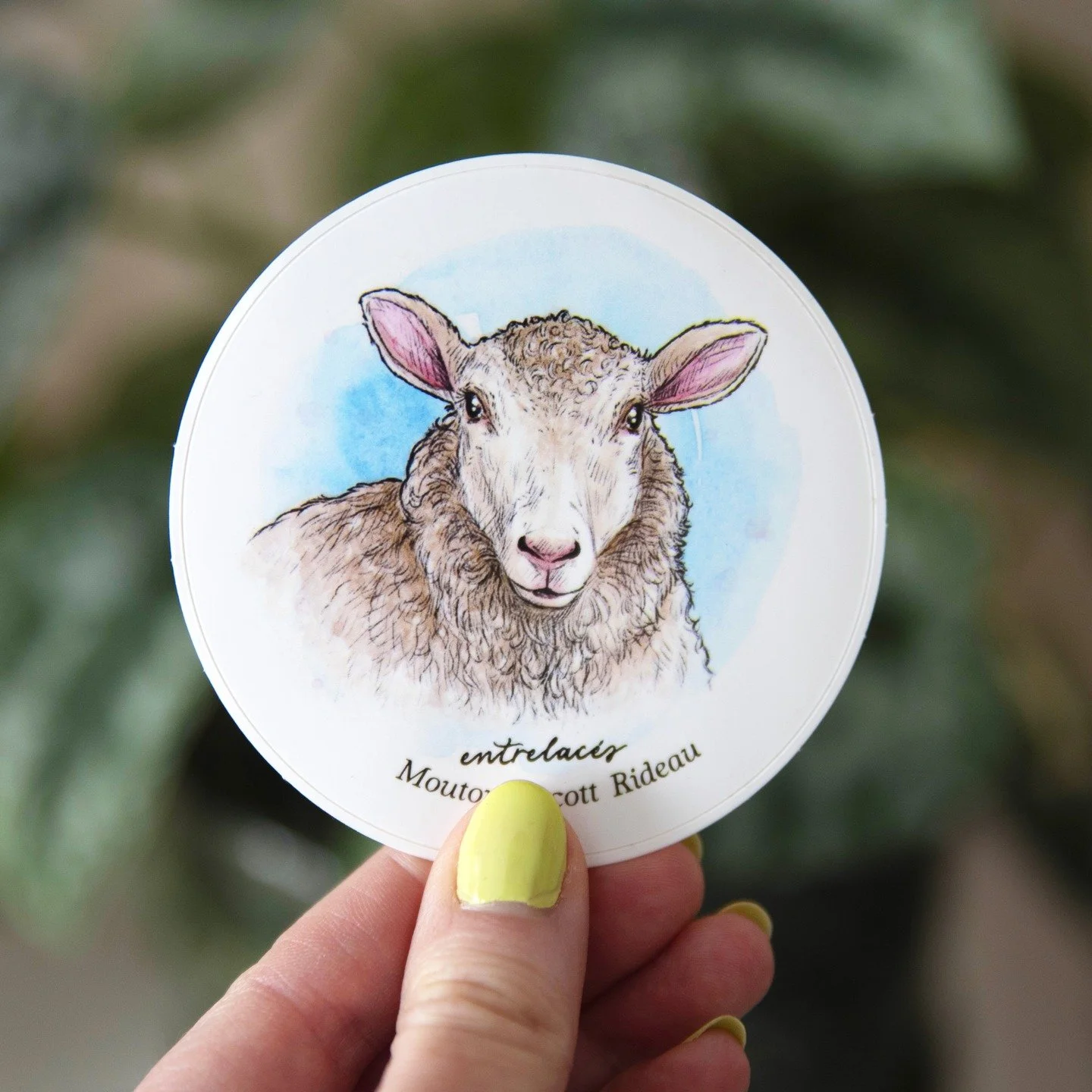 Il y a quelques mois, j'ai r&eacute;alis&eacute; des autocollants pour @lesfilsentrelaces Sont tu cutes un peu hen, hihi? Un gros merci encore d'avoir fait appel &agrave; moi Olivia! 🐏🤗❤️