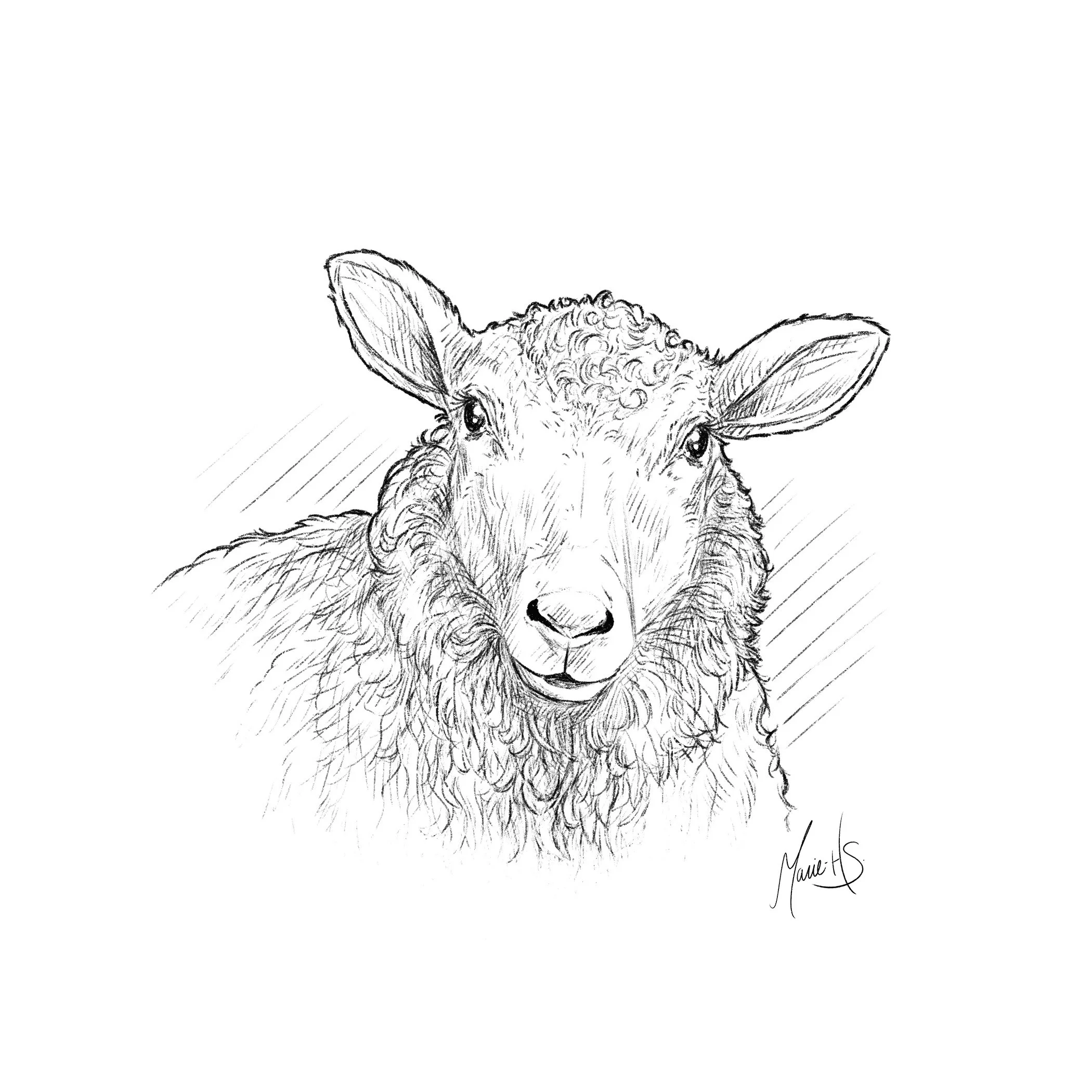 Autocollant-Mouton-Arcott-Rideau-v3+signature.jpg