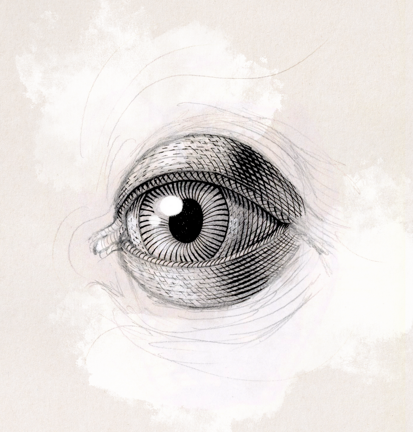 Workshop Portrait Ink Drawing-day3-b.png