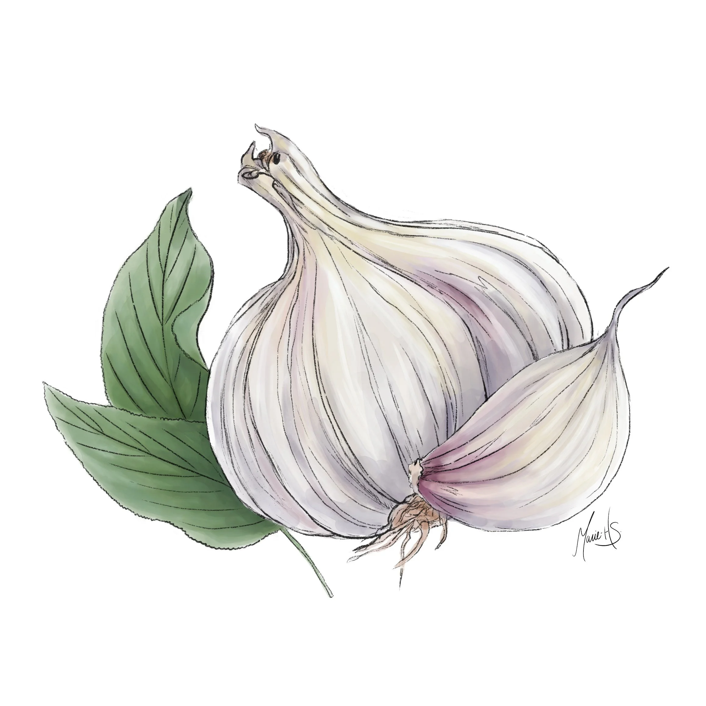 Packaging Famiglia Romana / Ezi Brand Design